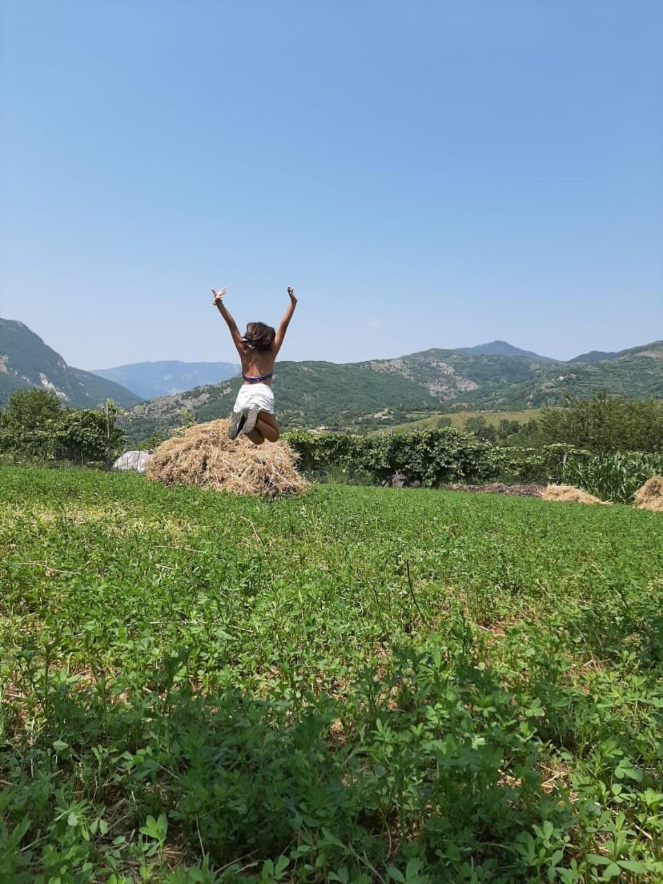 VILA DISHA