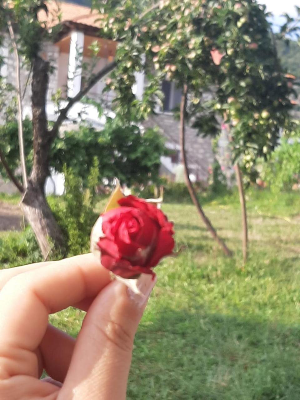 VILA DISHA