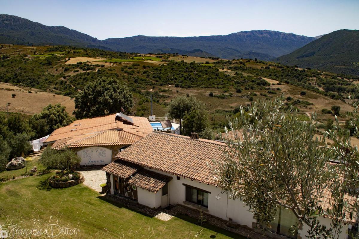 Agriturismo Jannas view 2