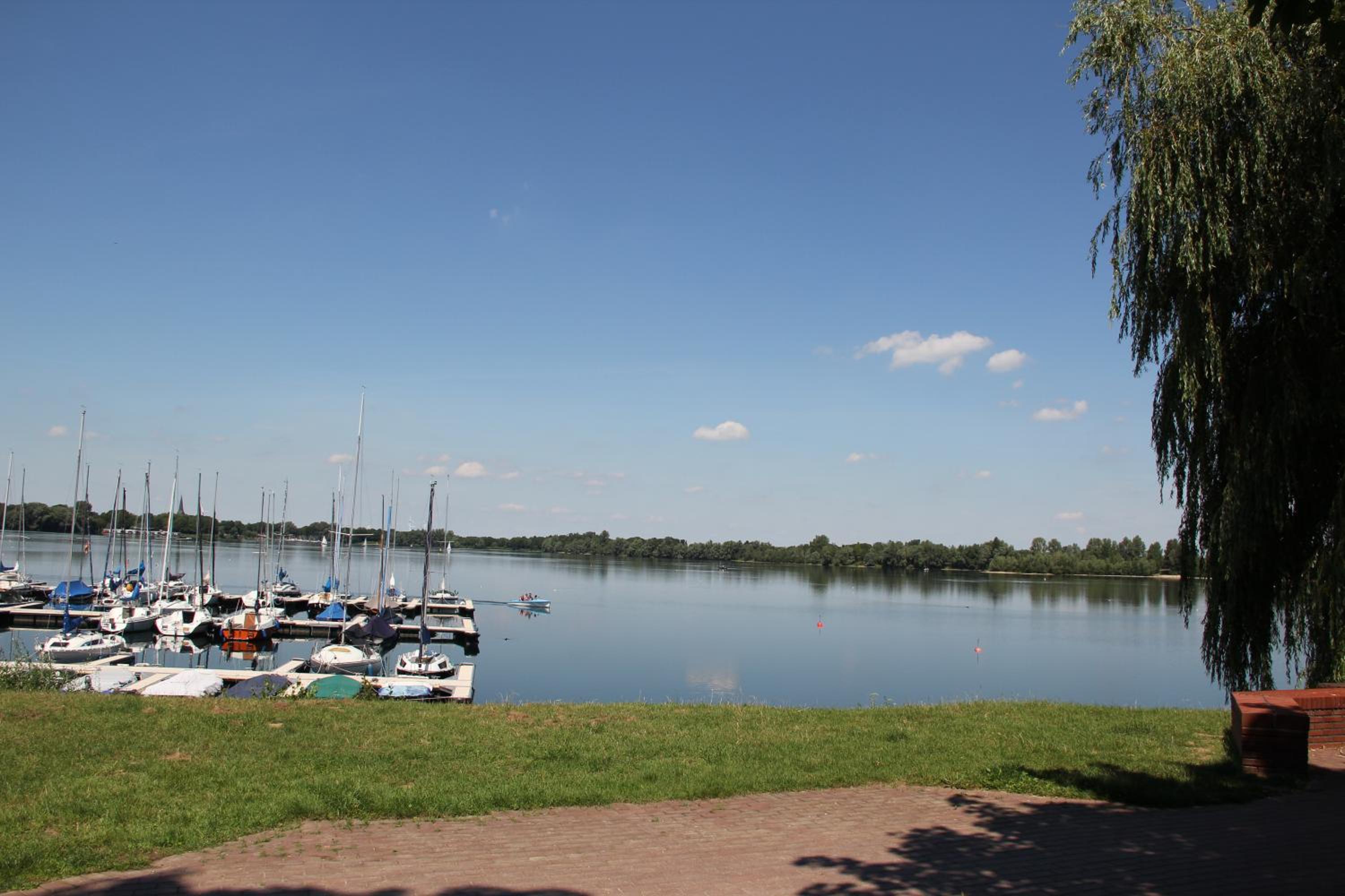 Photo 21