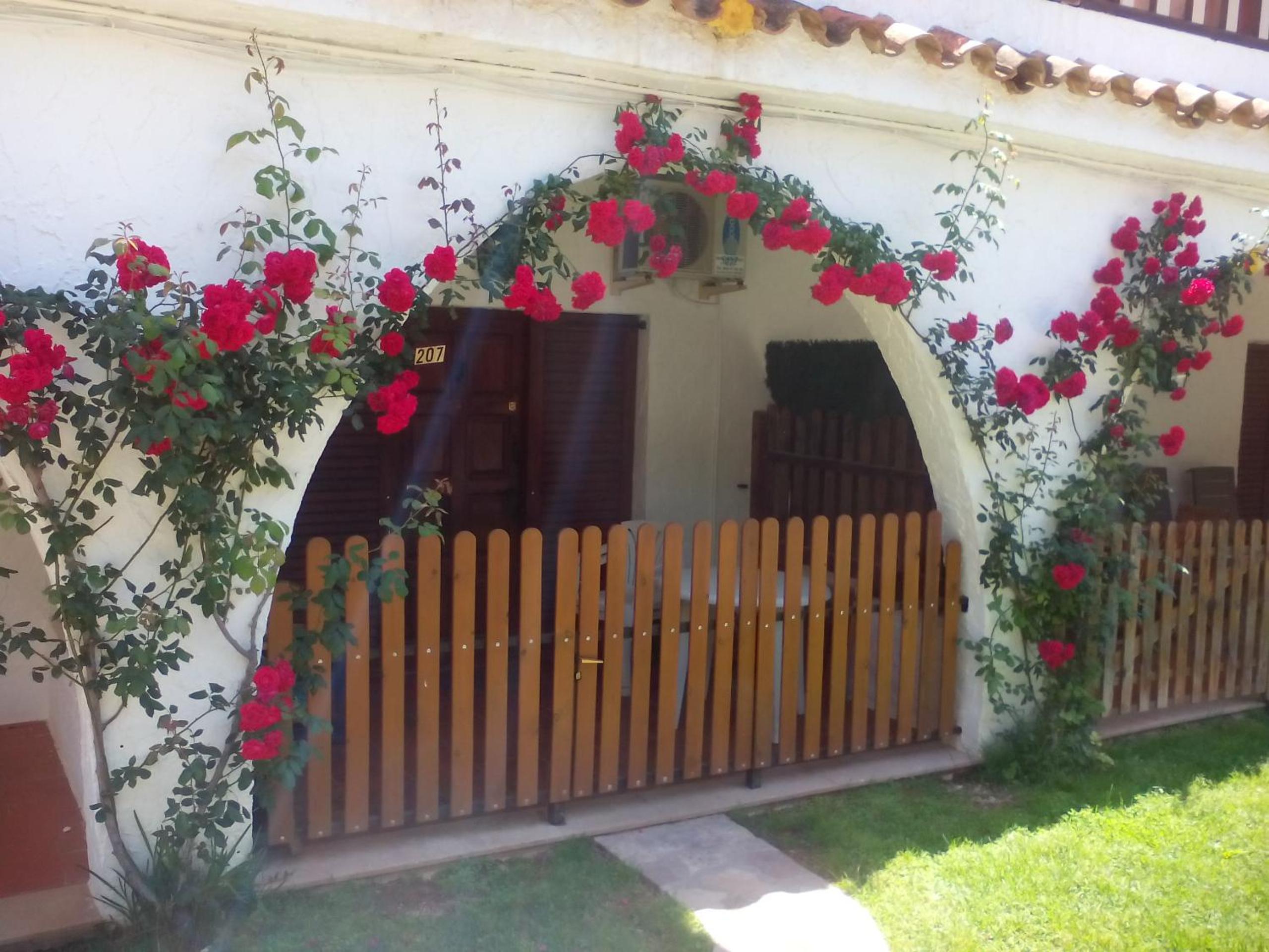 Photo 31