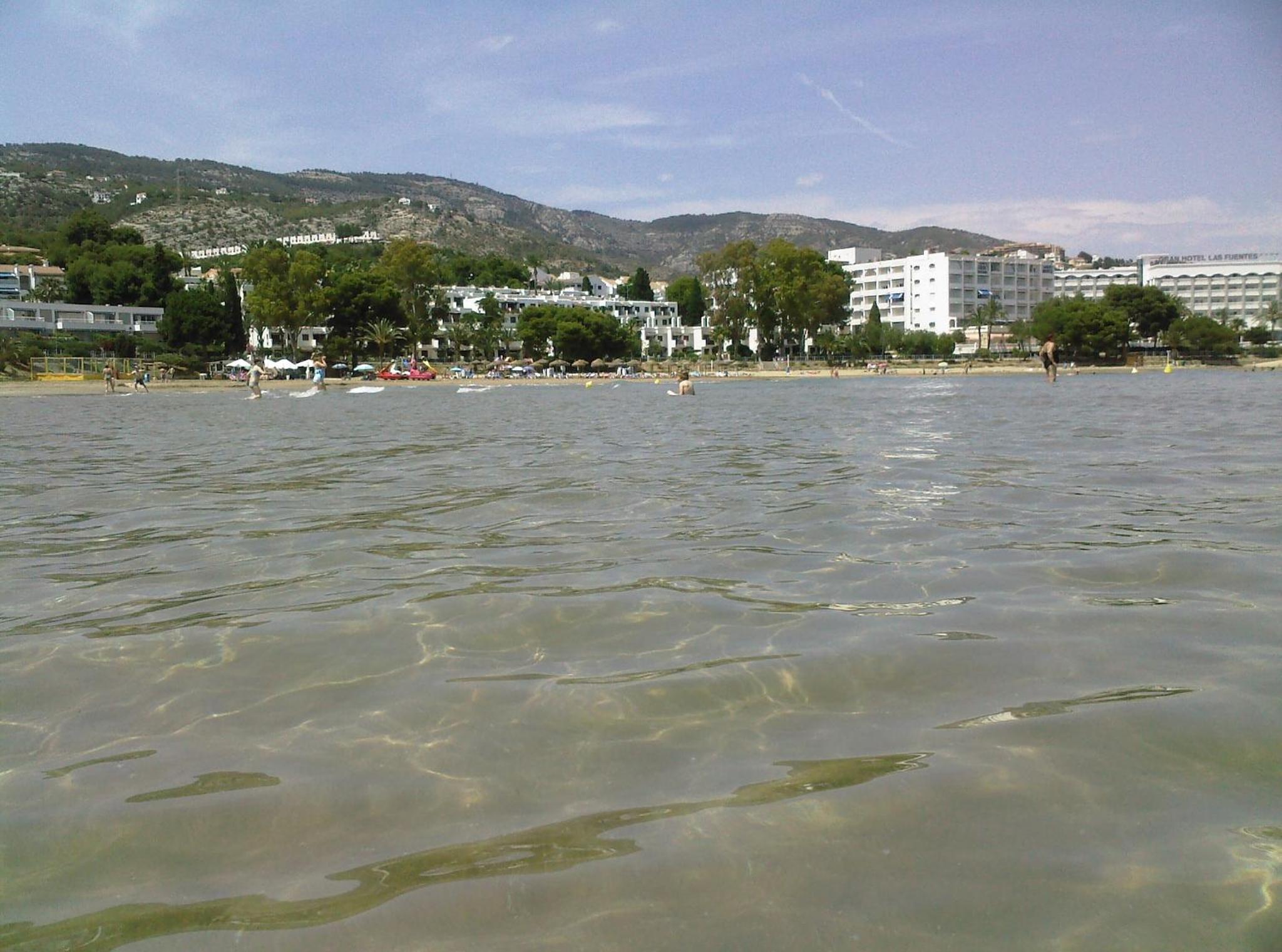 Photo 15