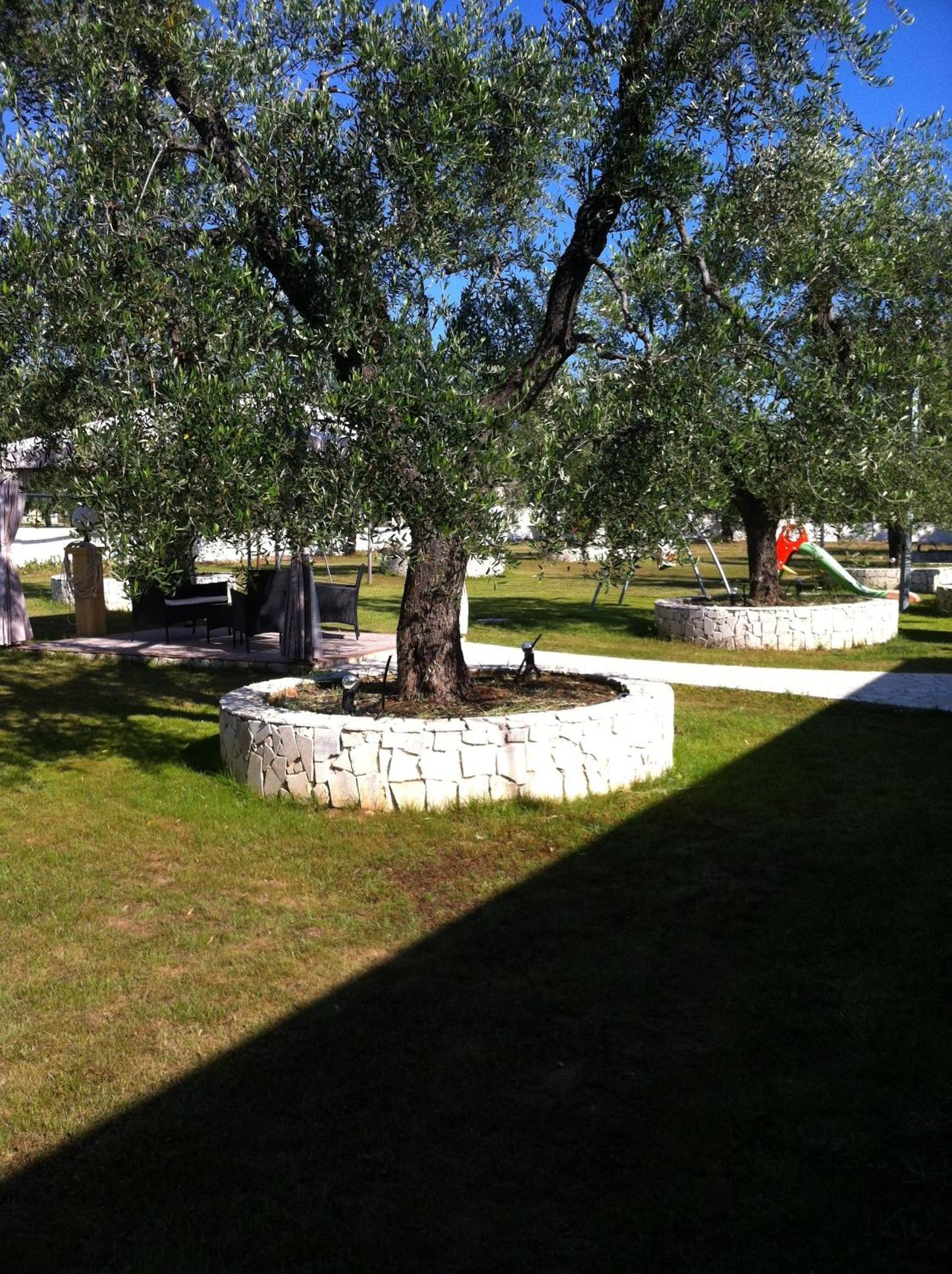 Photo 49