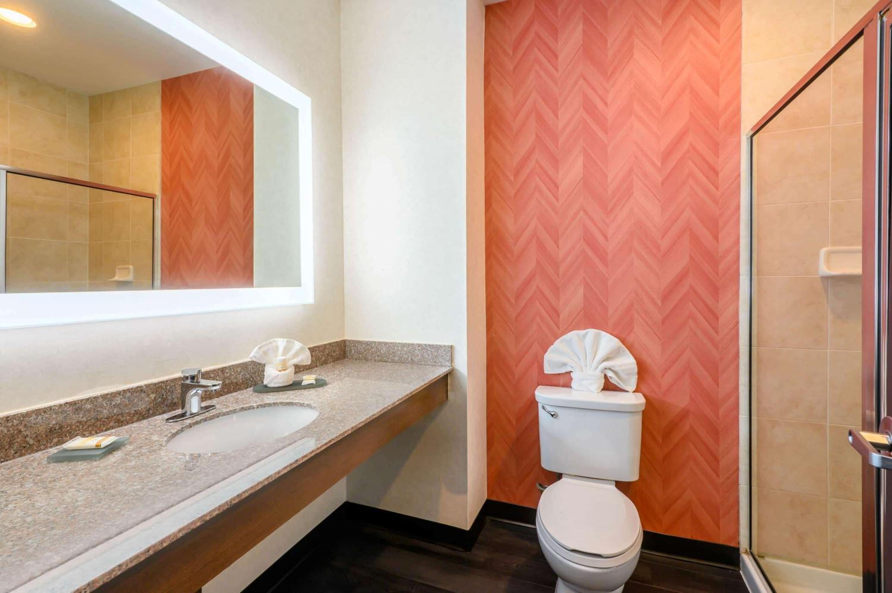 Longview Vacations - La Quinta by Wyndham Longview North - Property Image 11