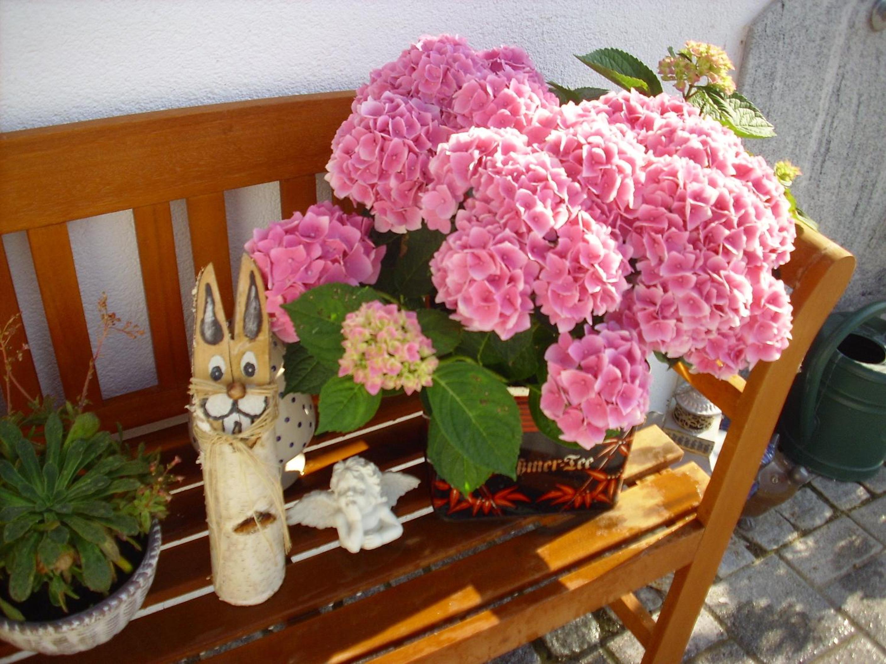 Ferienwohnung Maria Waldblick 95 qm, - Property Image 14