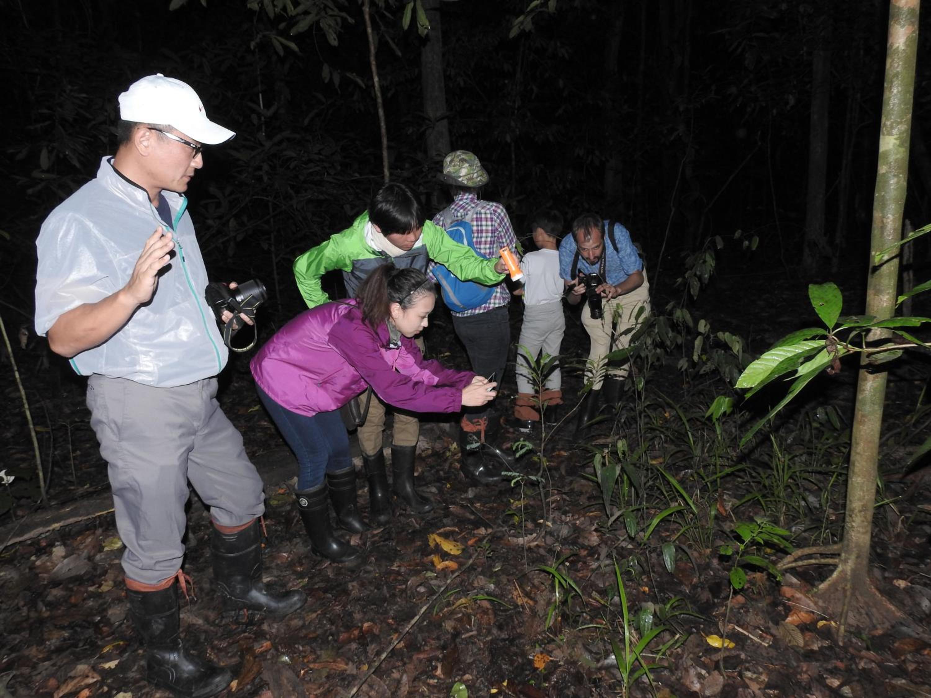 Bilit Adventure Lodge