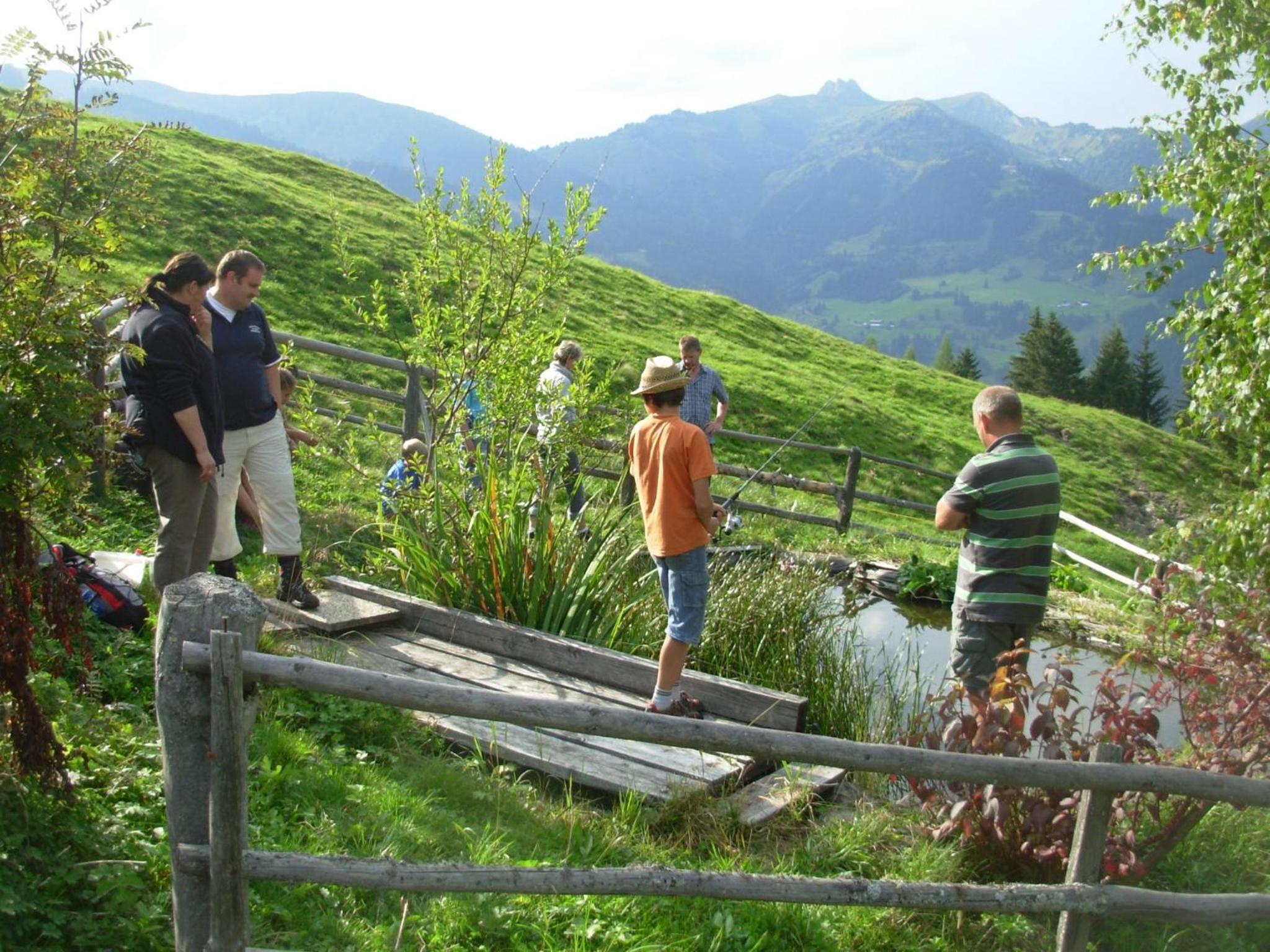 Wandlehenhof