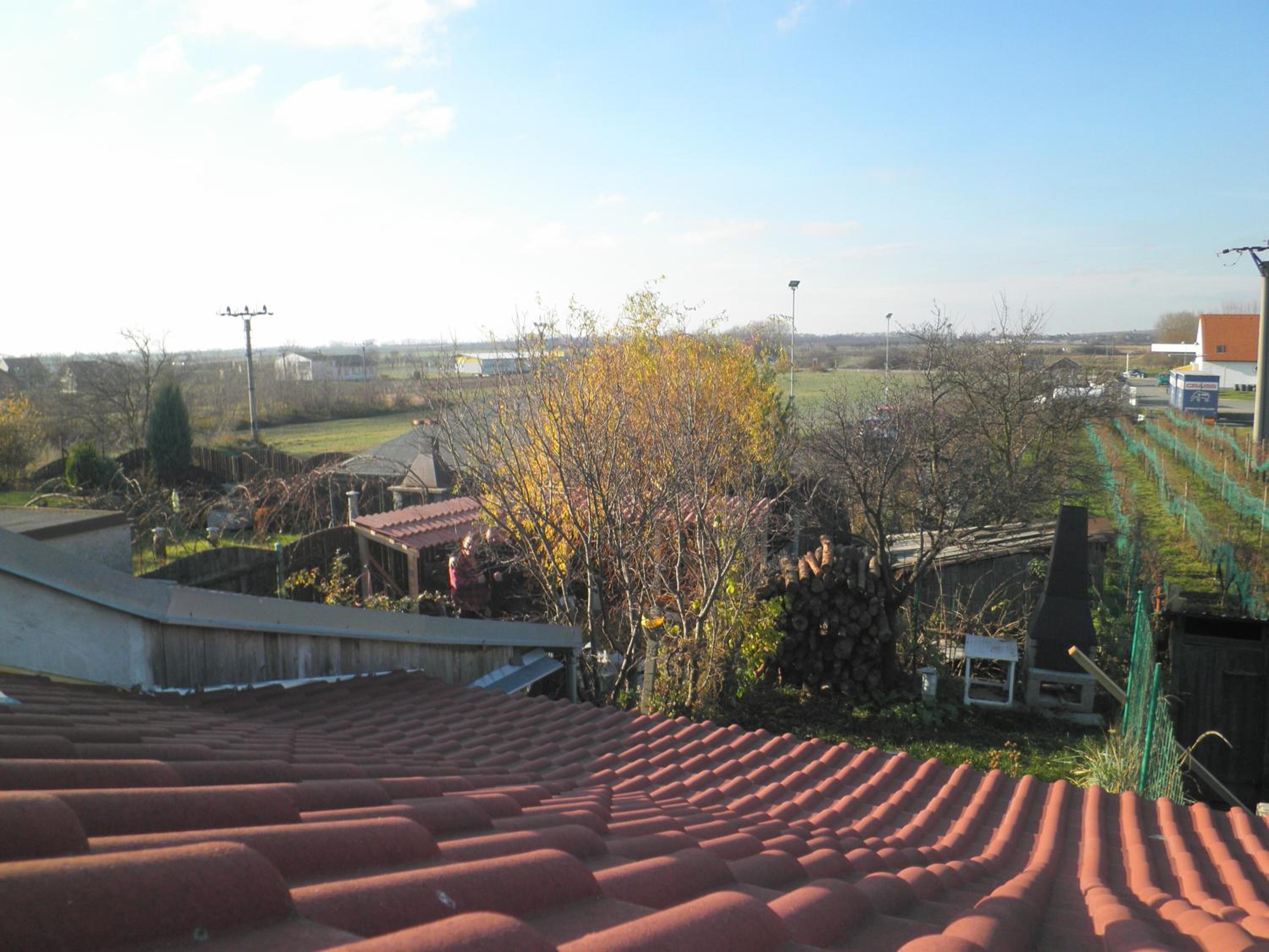 Photo 31