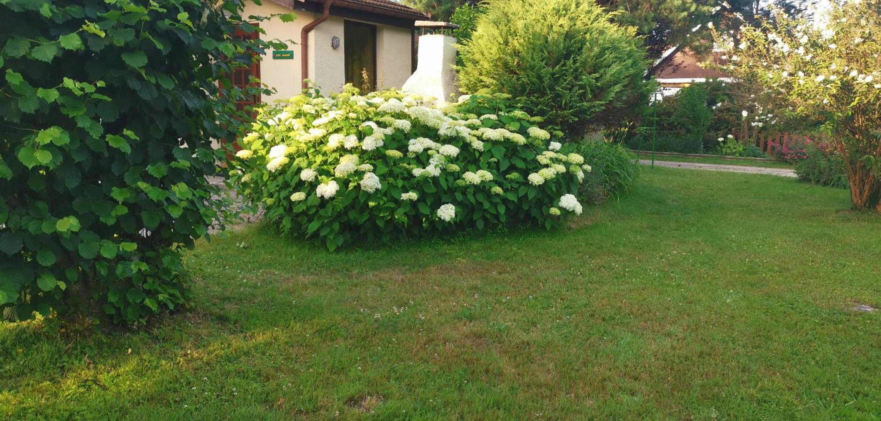 Photo 48
