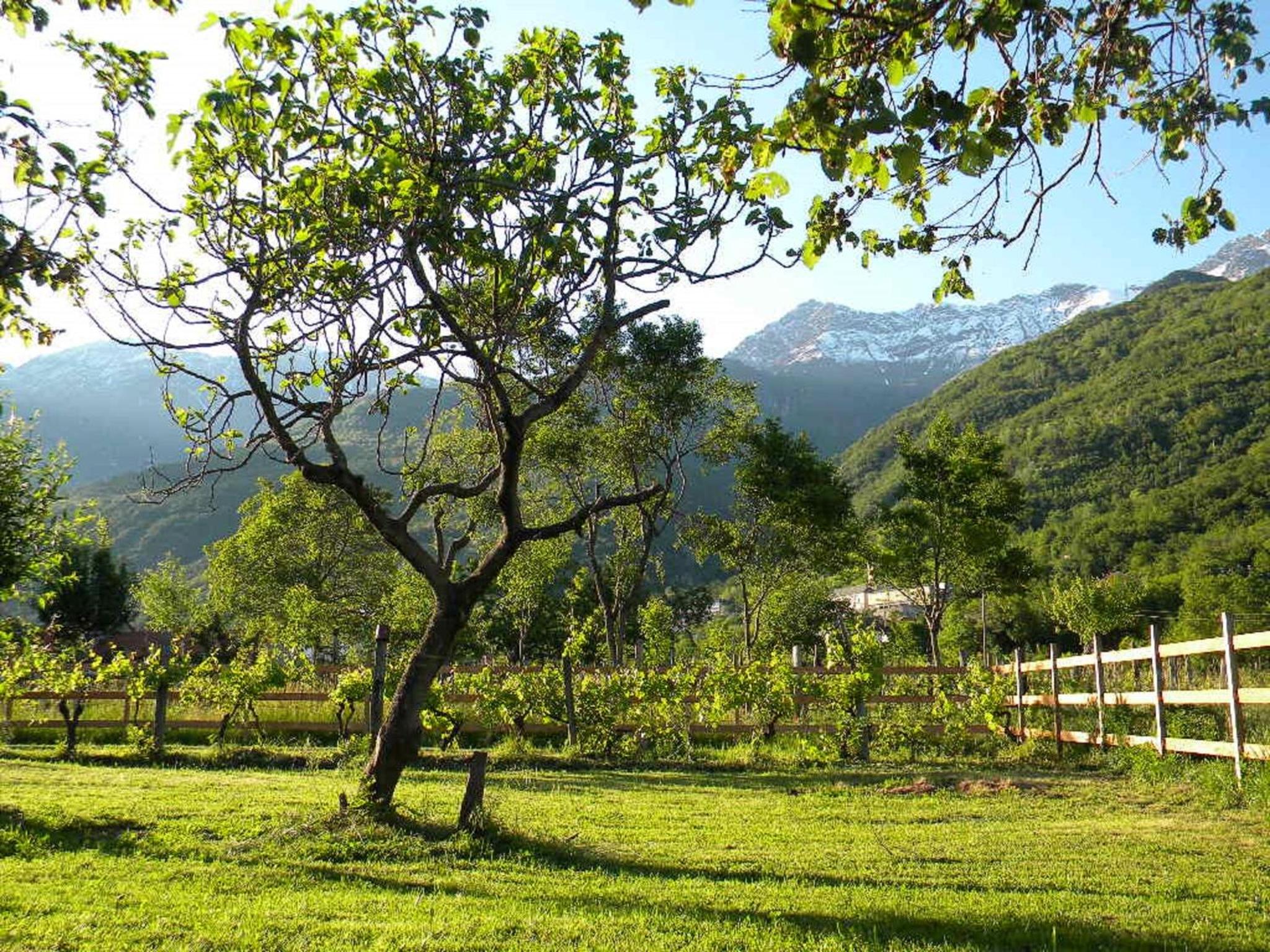 B&B Autin