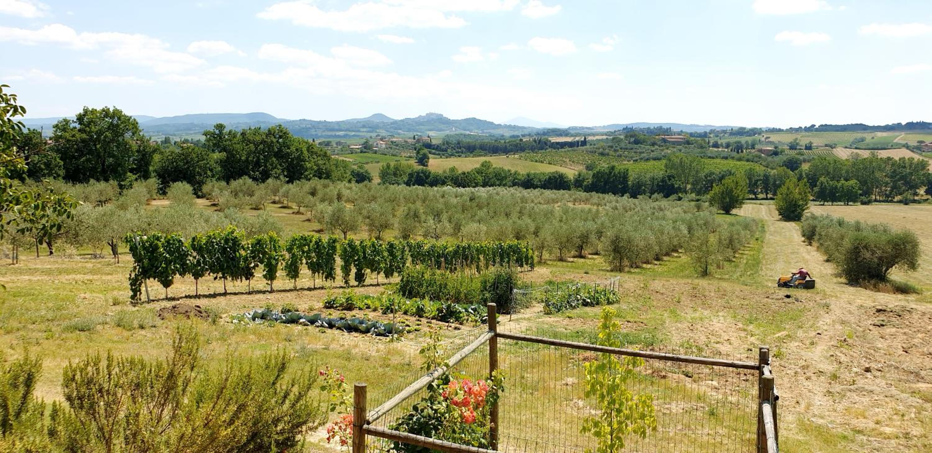 Casina di Pacina view 5