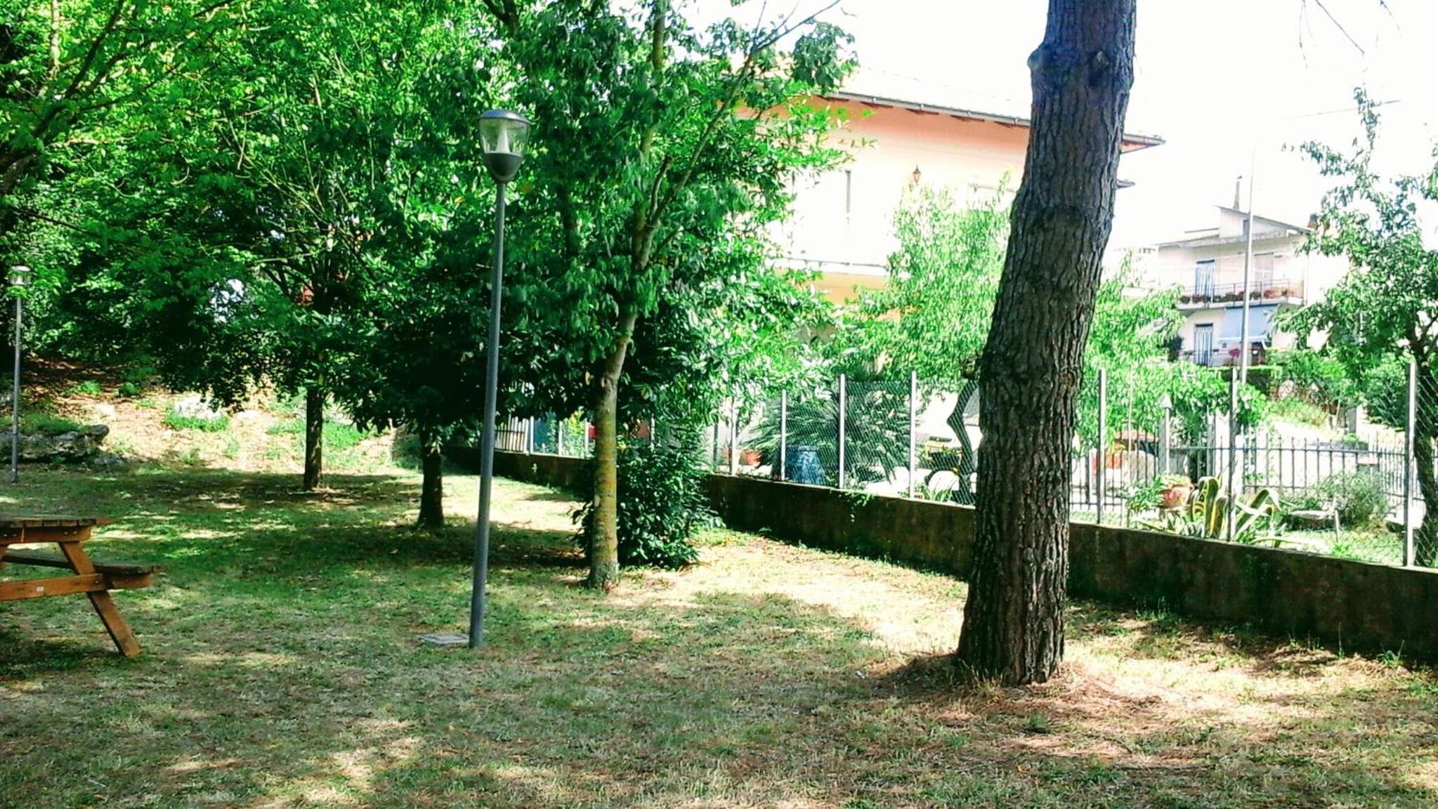 Photo 25