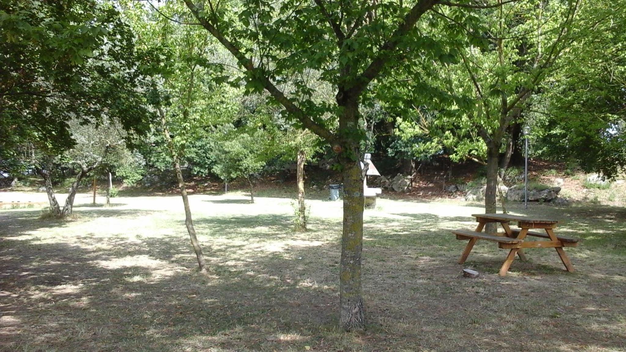 Photo 26