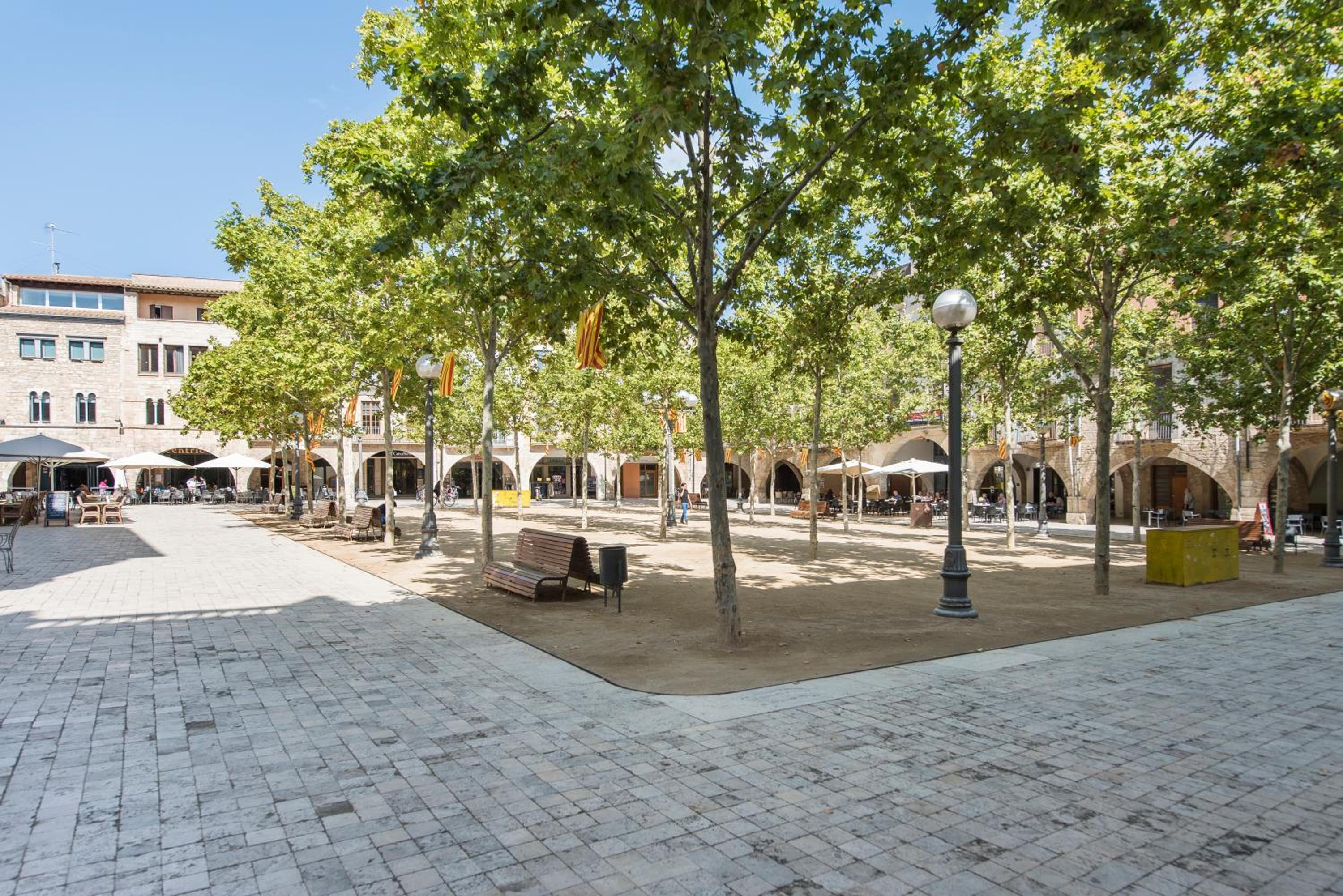 Lovely & Cozy apartment in the heart of Banyoles view 2