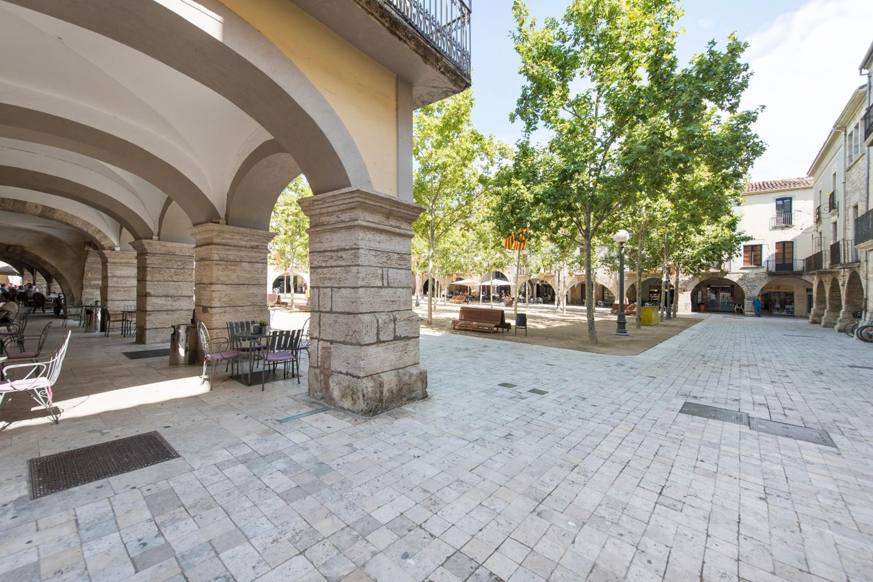 Lovely & Cozy apartment in the heart of Banyoles view 3