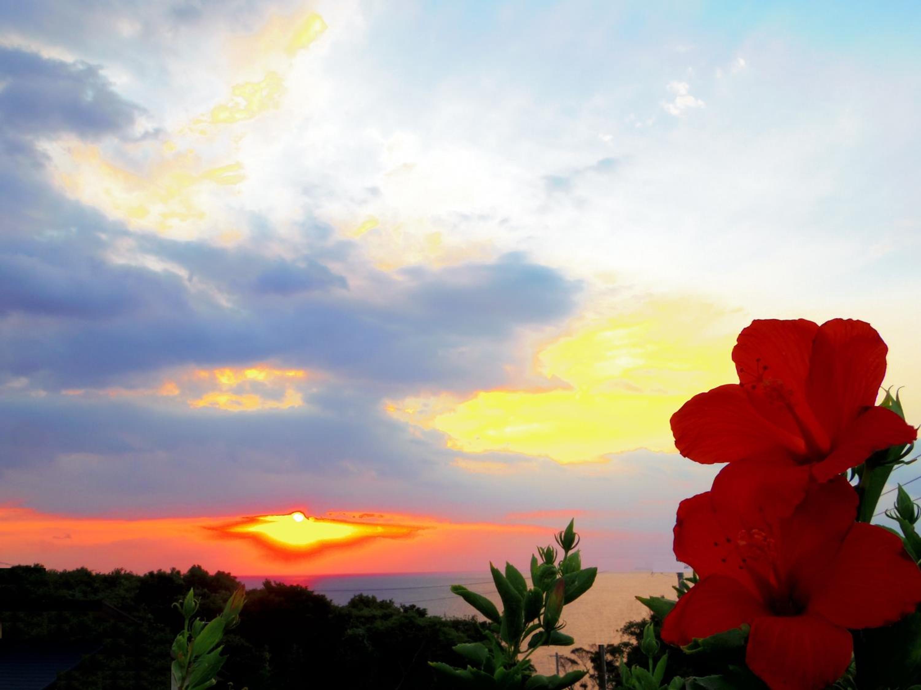 森のフェアリー Cottage Morino Fairy All cotage with open-air bath with sea view or river view