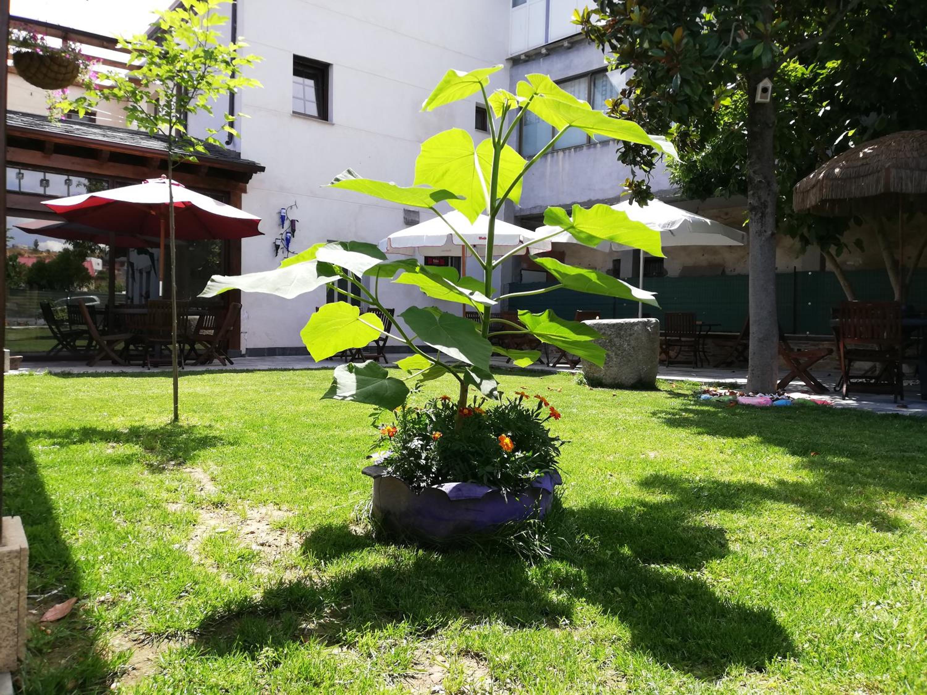 Photo 62