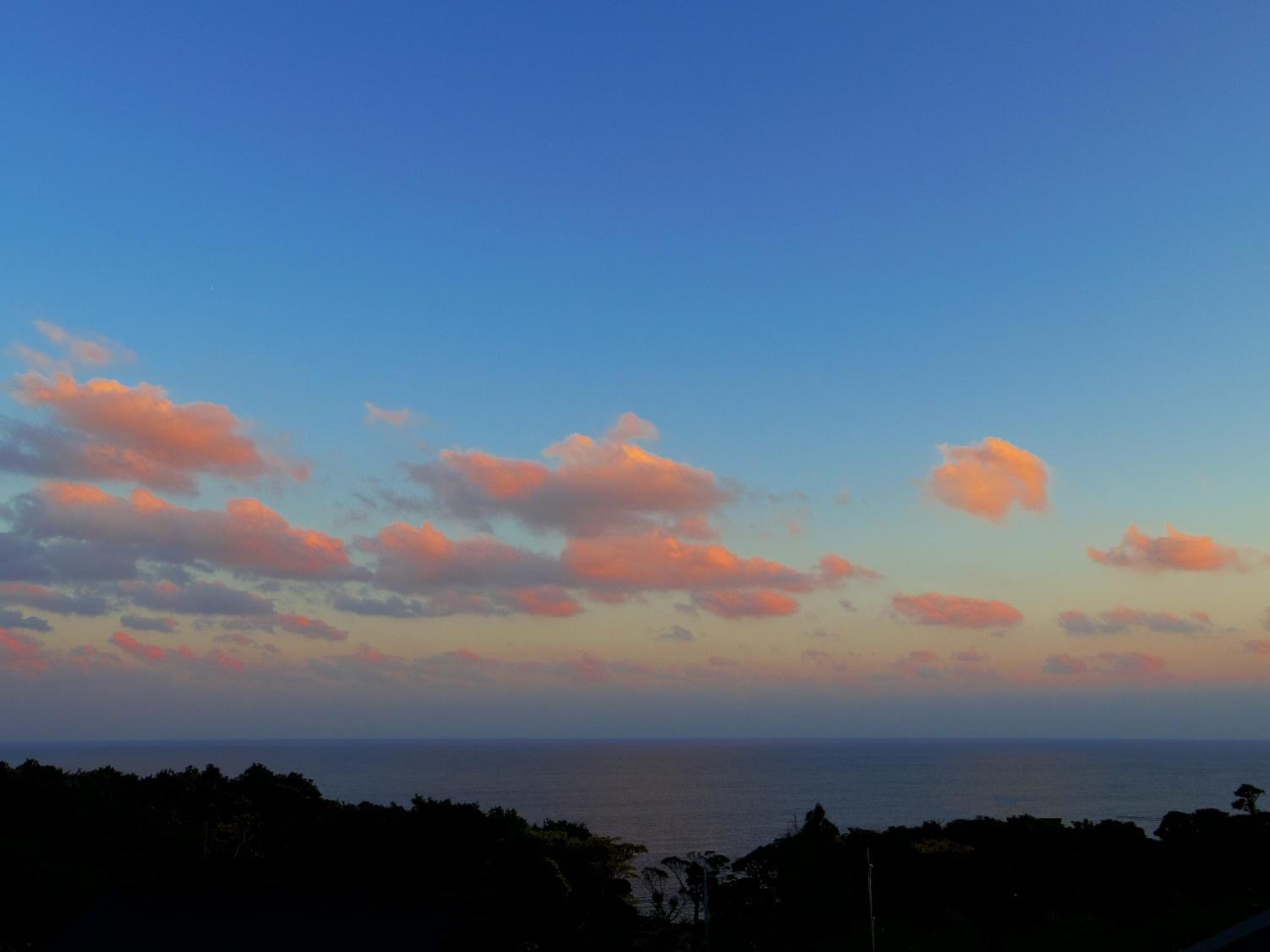 森のフェアリー Cottage Morino Fairy All cotage with open-air bath with sea view or river view
