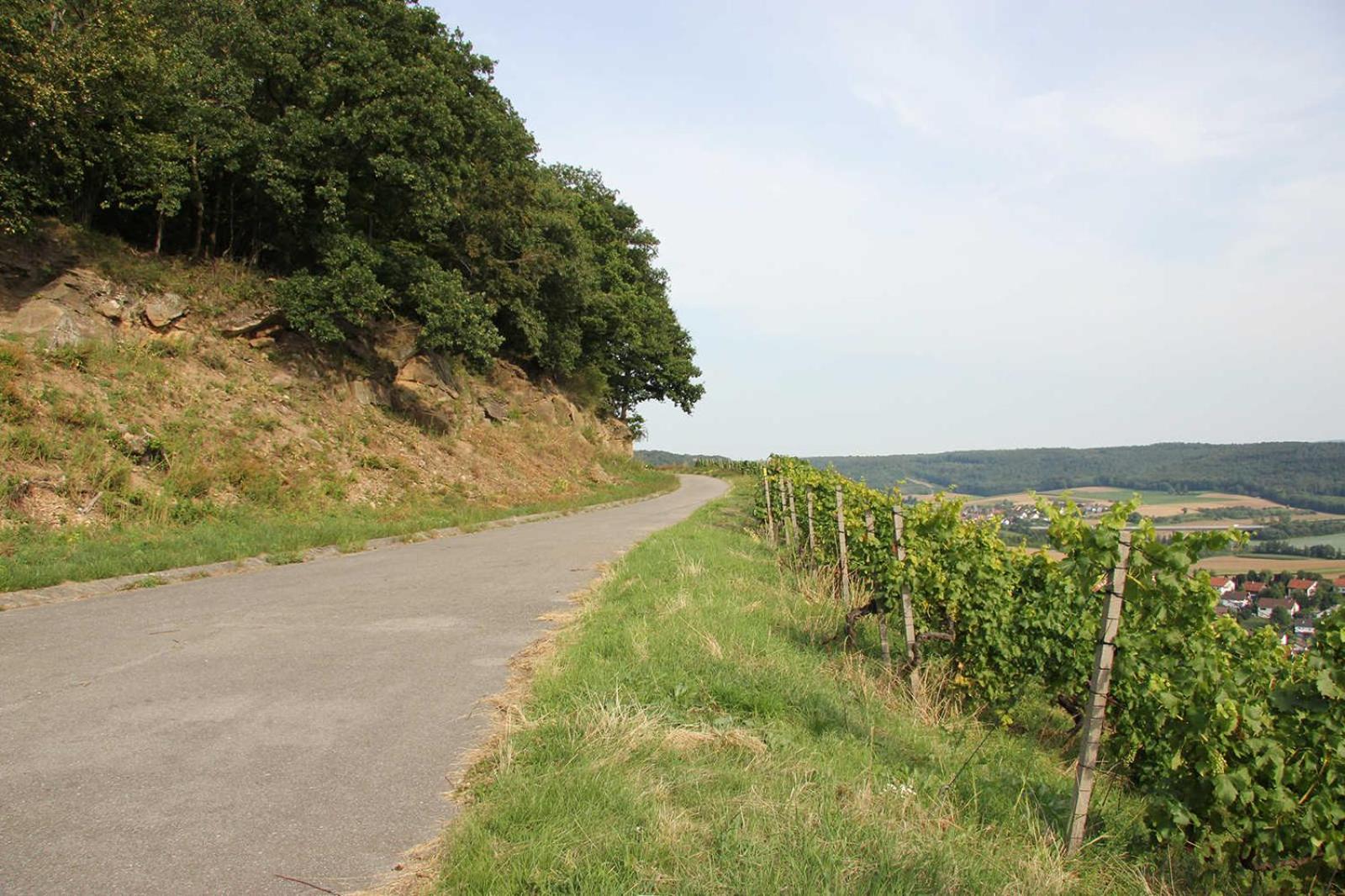 Weinlodge am Geissberg