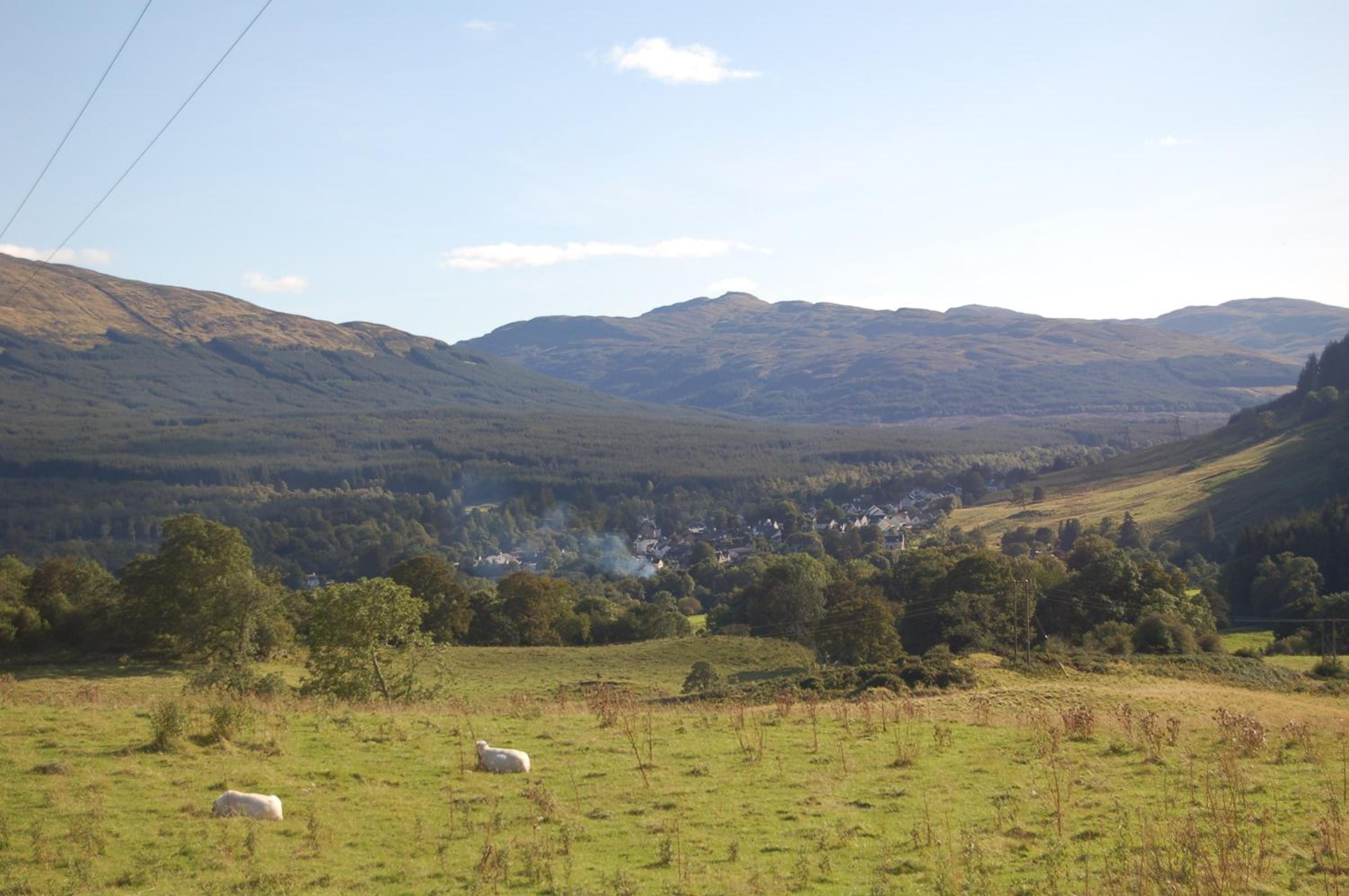 Woodland Hazel Lodge