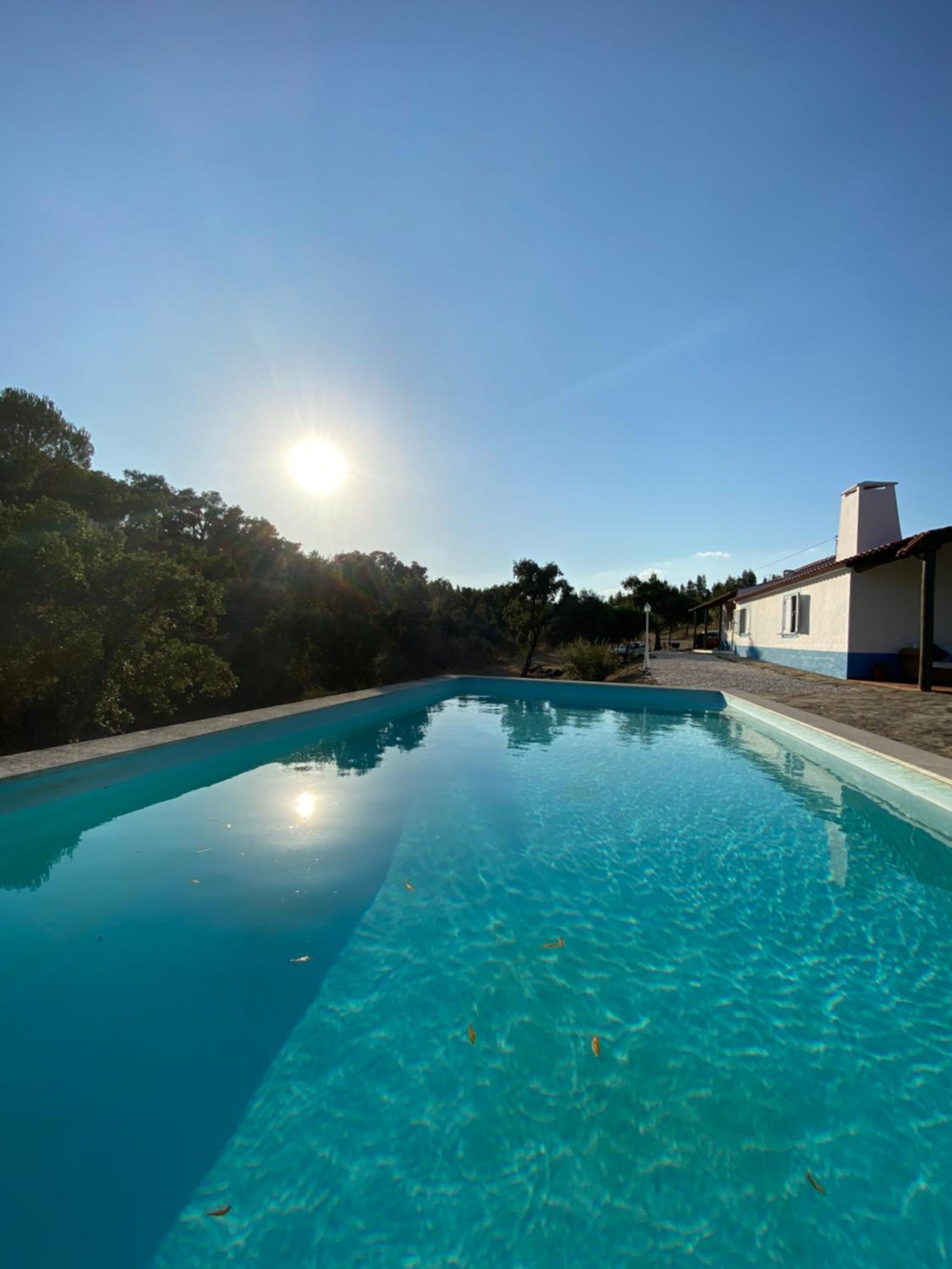 Monte das Pedras - Avis view 5