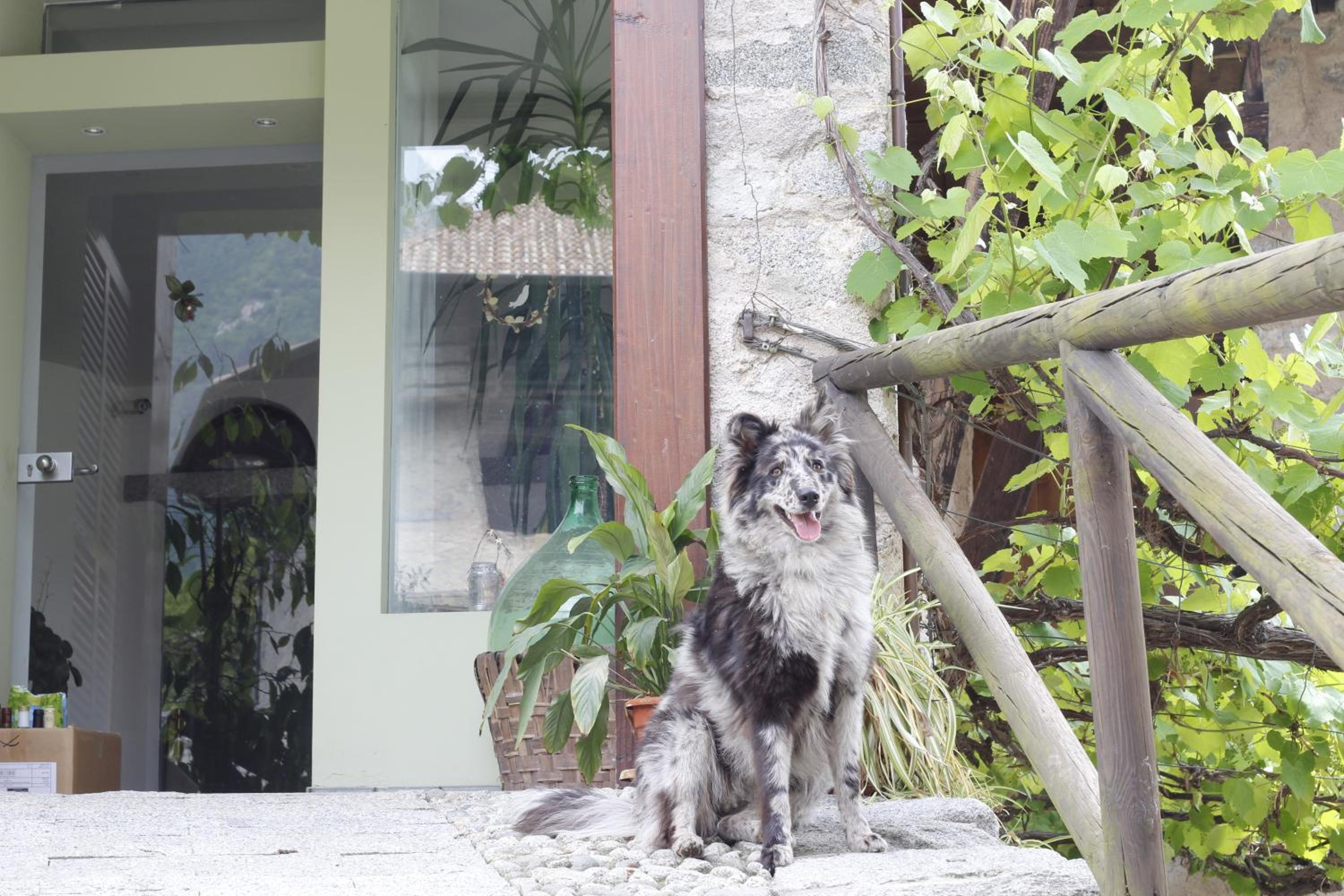 B&B Casa Gori