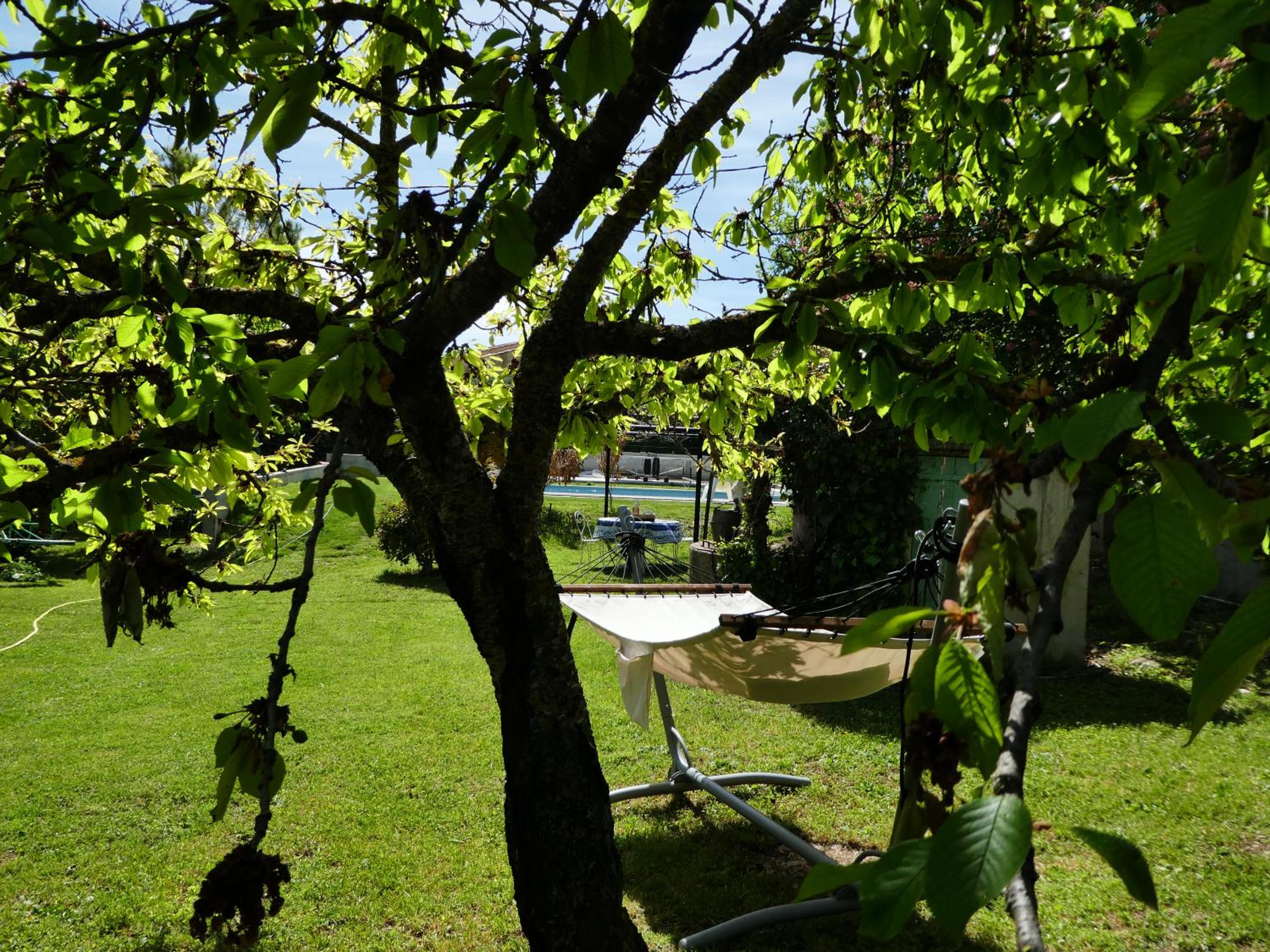 Gîte L'auguste Maison d'Hôtes view 4