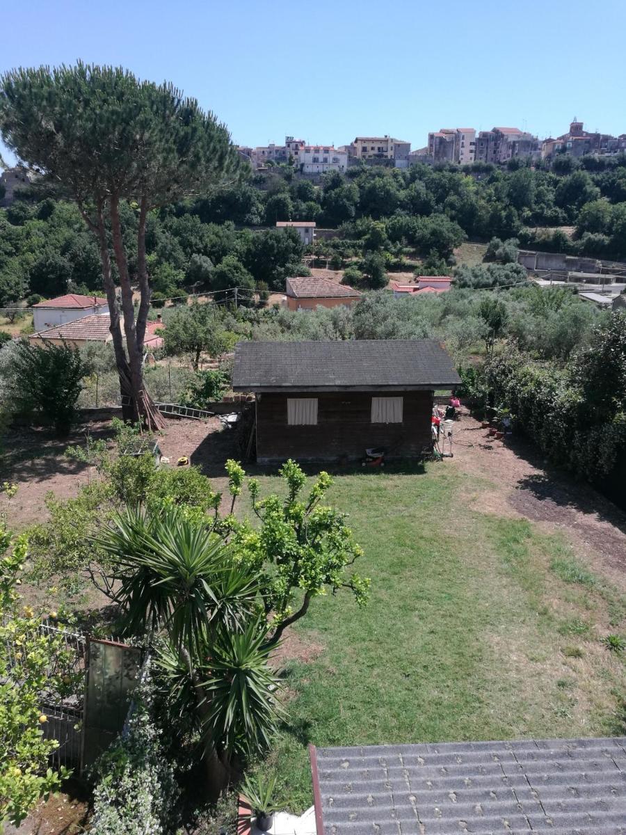 Photo 21