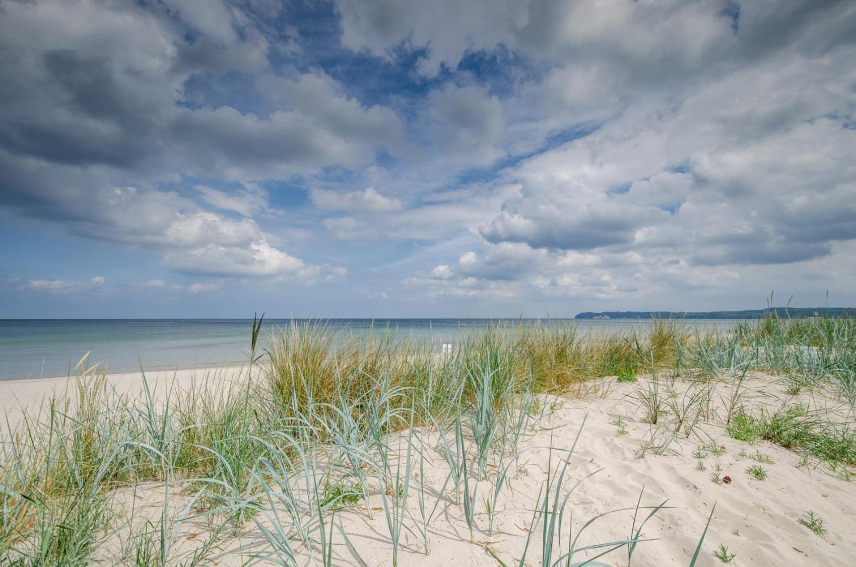 Prora - Komfortable FeWo mit Terrasse, E-Ladestation und Meerblick - Proras Strandhaus