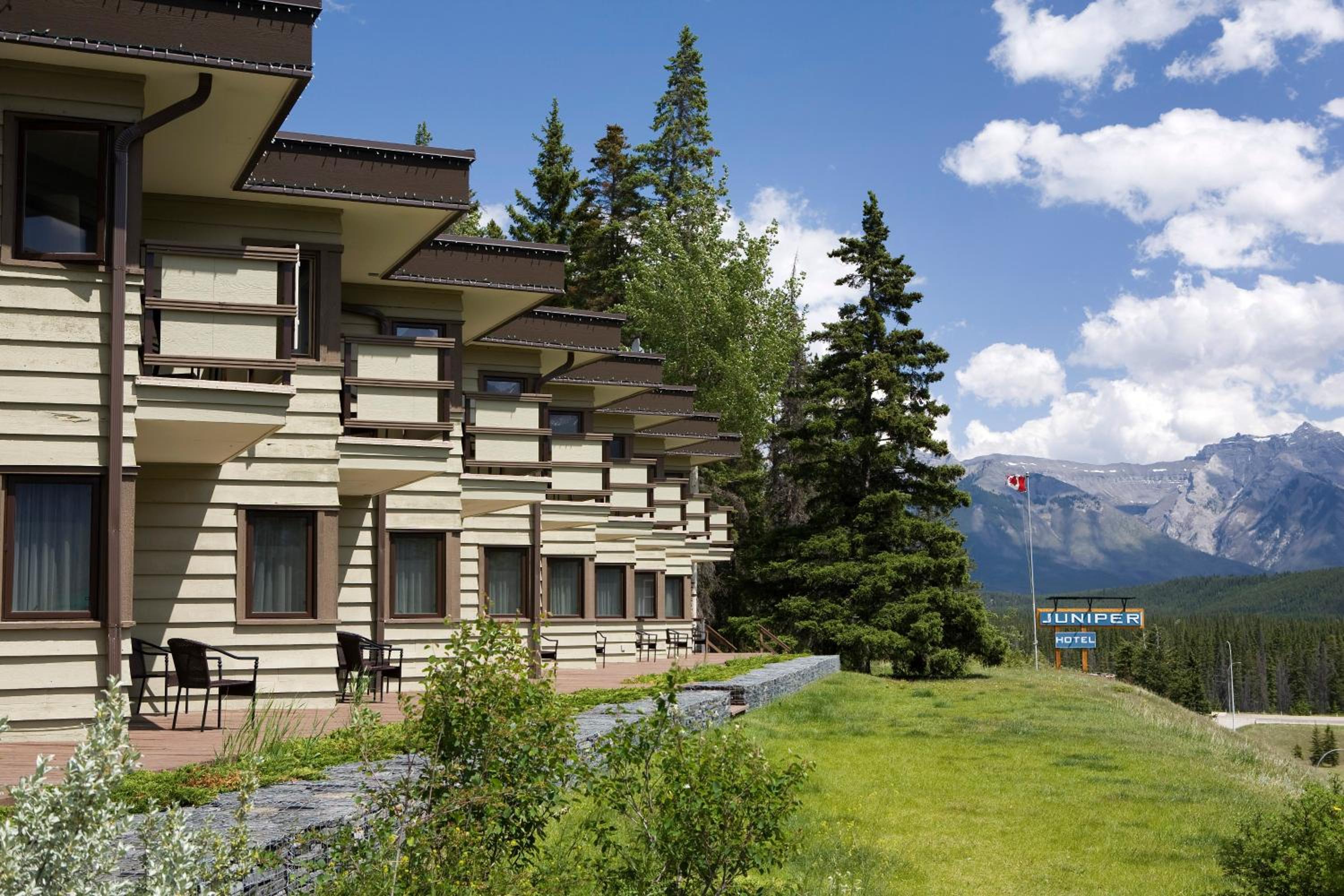 The Juniper Hotel & Bistro