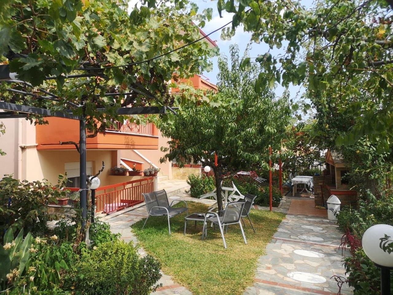 Photo 6