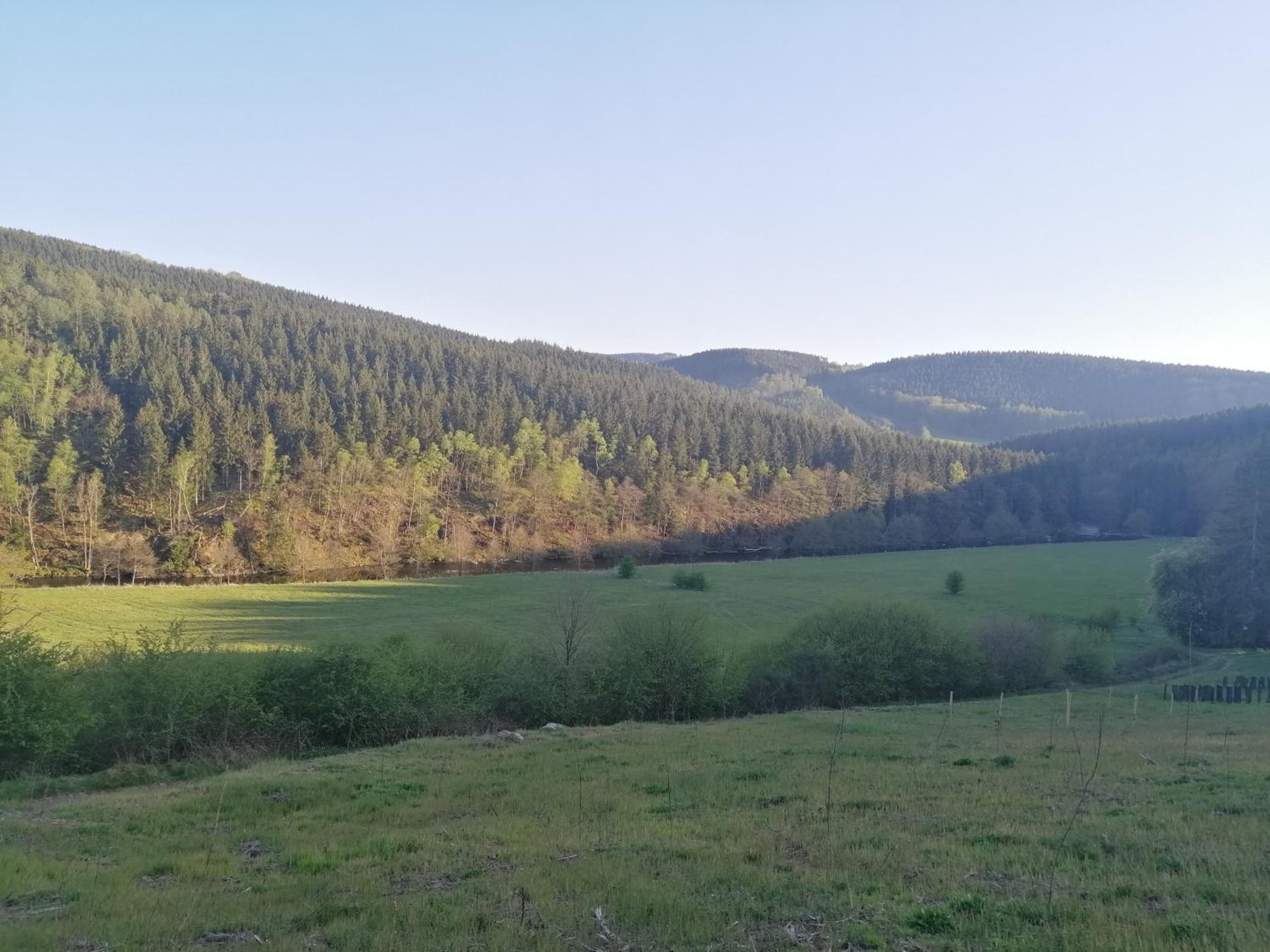 La Roseraie
