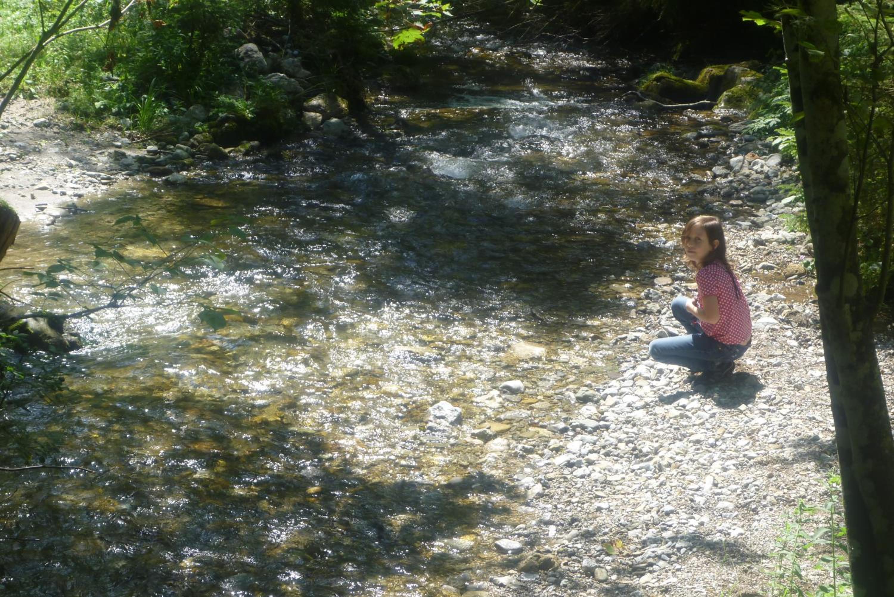 Photo 24