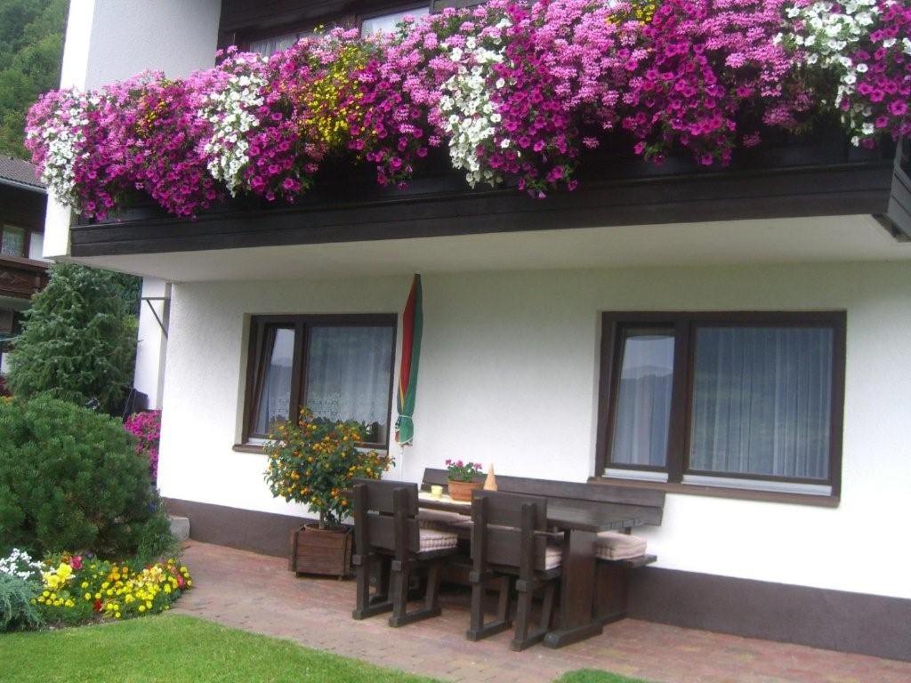 Ferienwohnung Reinstadler view 3