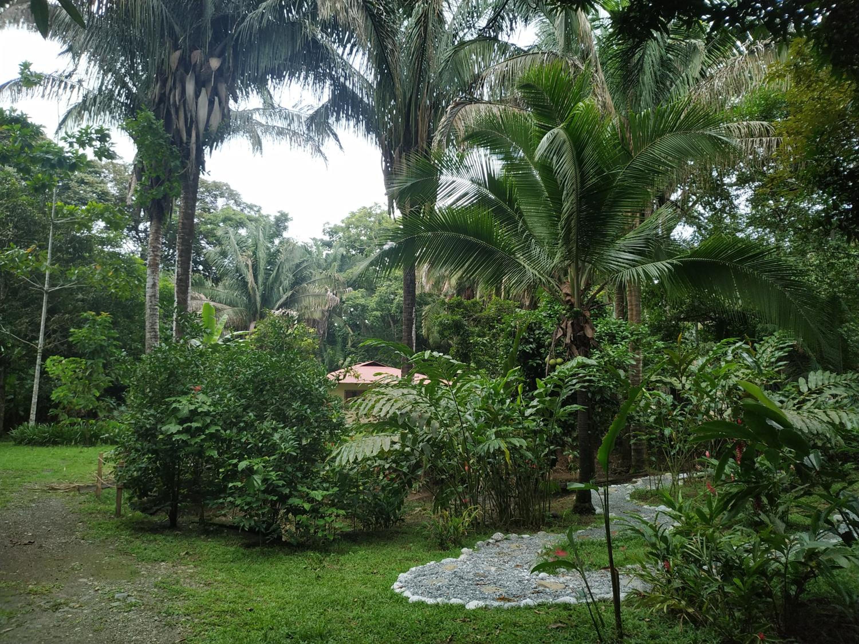 Four Monkeys Eco Lodge Jungle & Beach - The House