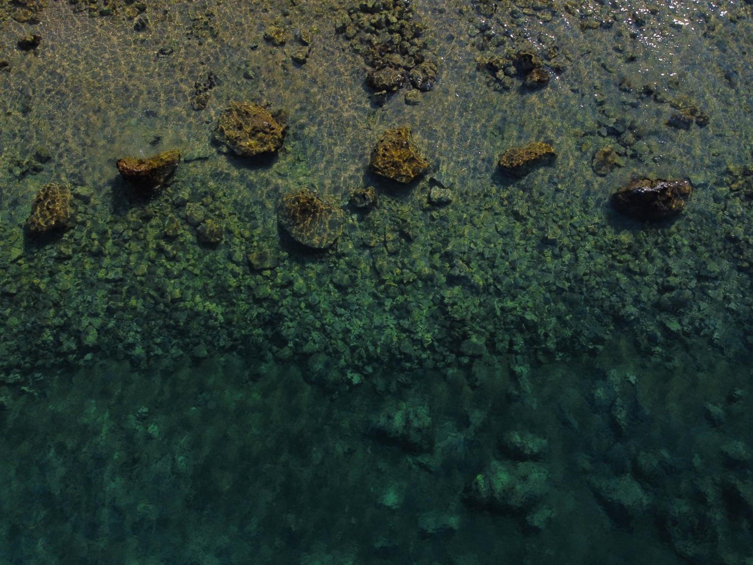 Island Murter view 4