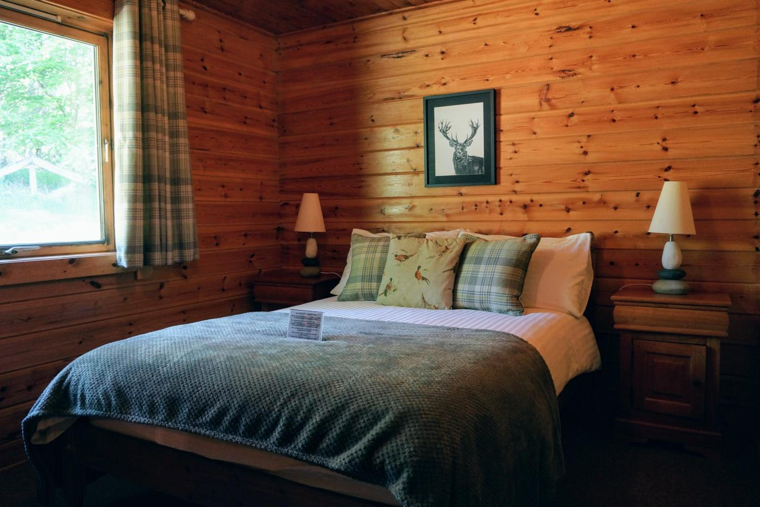 Cosy & compact Rowan Lodge no4 view 3