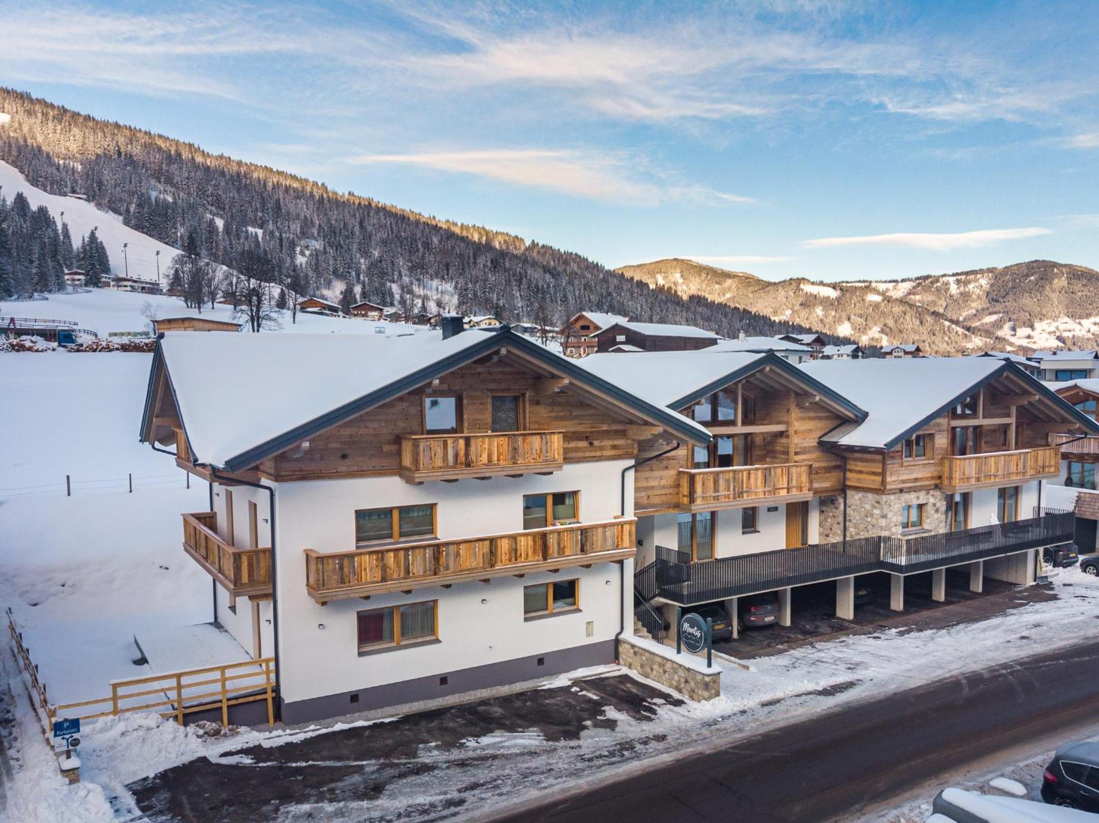CHALET MONTIS view 4