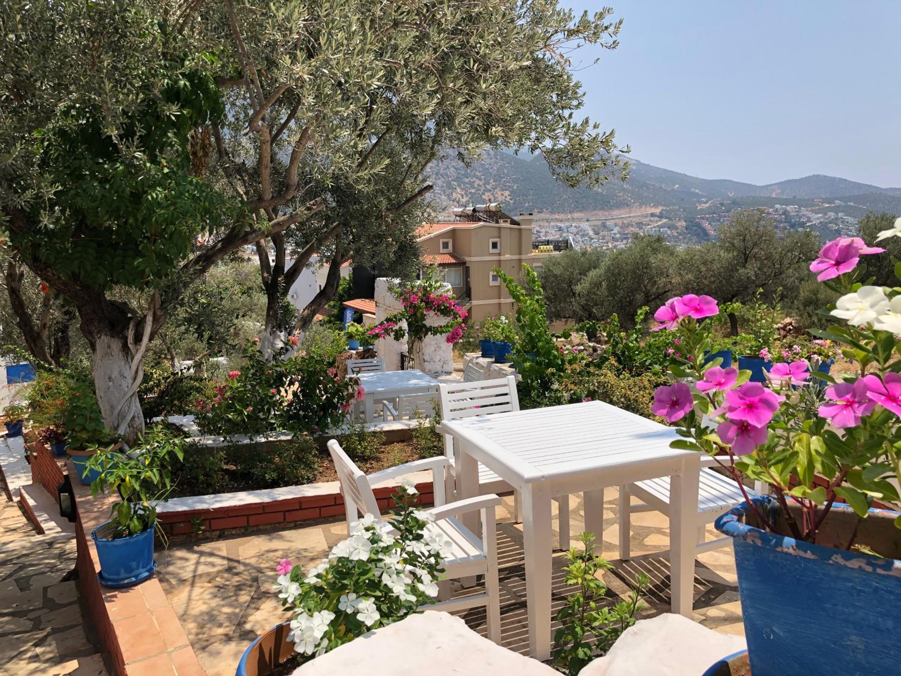 Lizo Hotel - Image 6