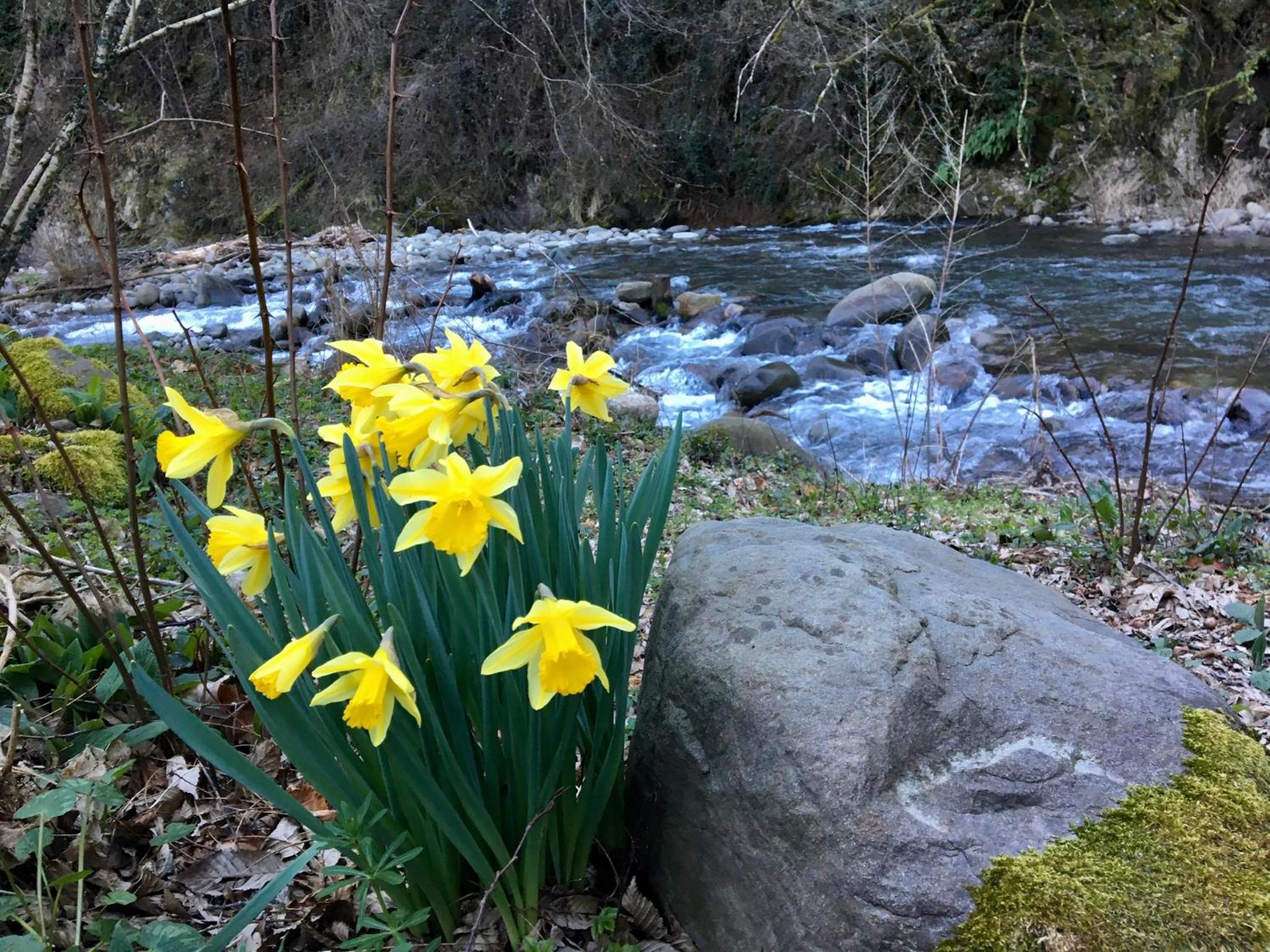 Relax totale nel Bosco Lucca