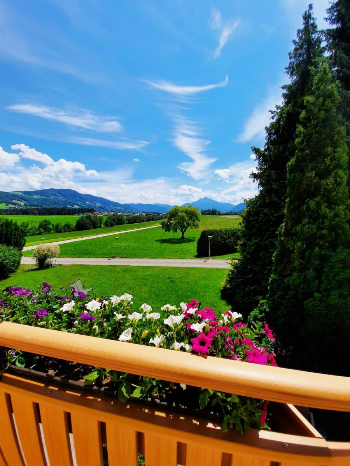 Pension Kreuzinger, 5310 Tiefgraben