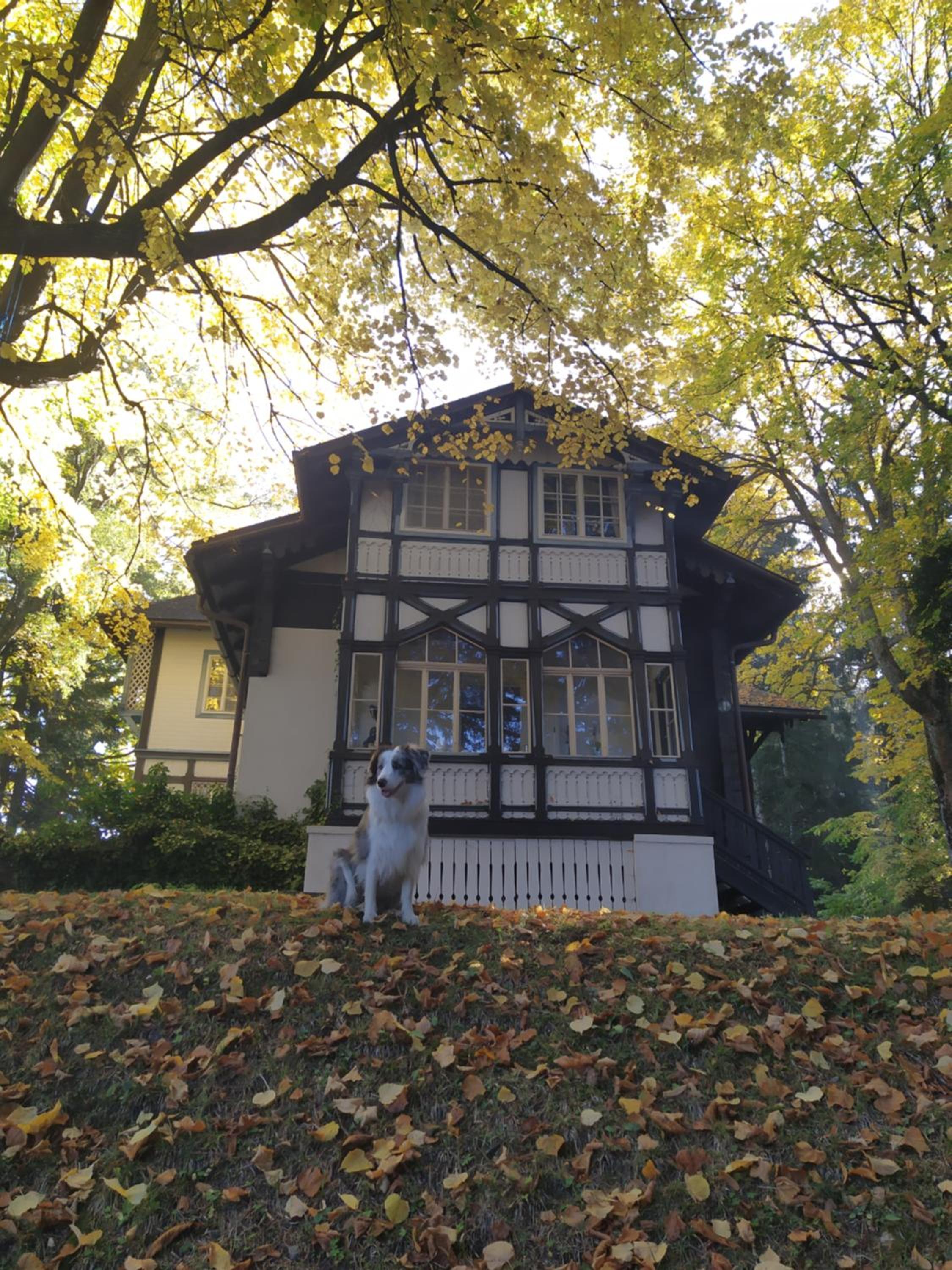Alban Berg Villa