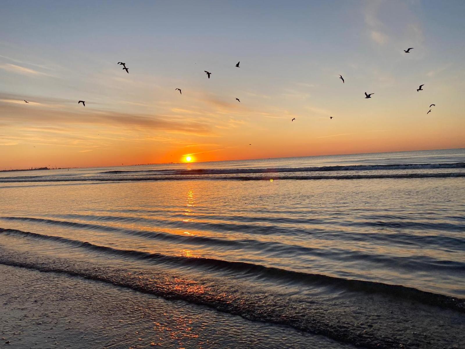 Apartament Somnila, Mamaia Nord view 4