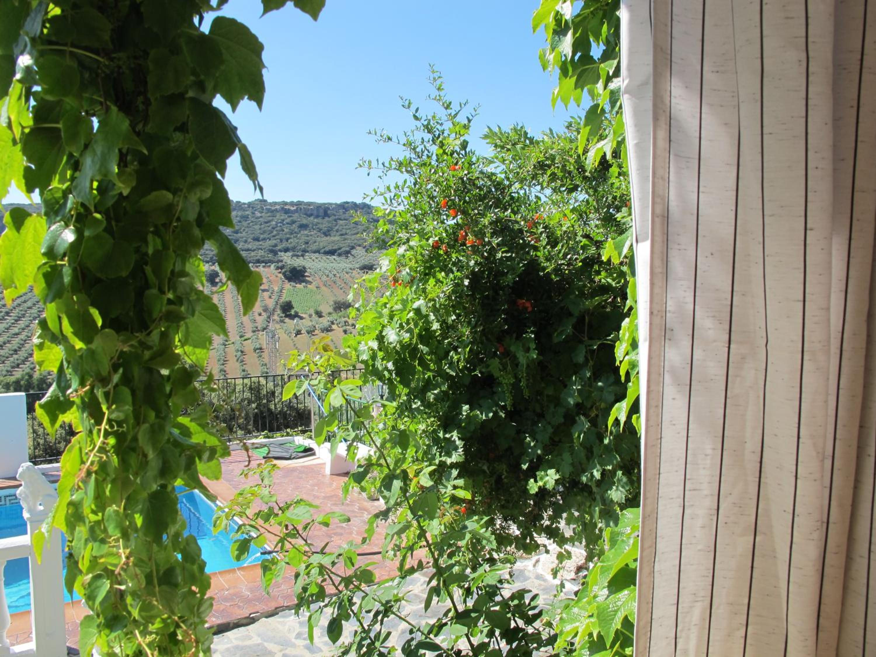 Photo 40