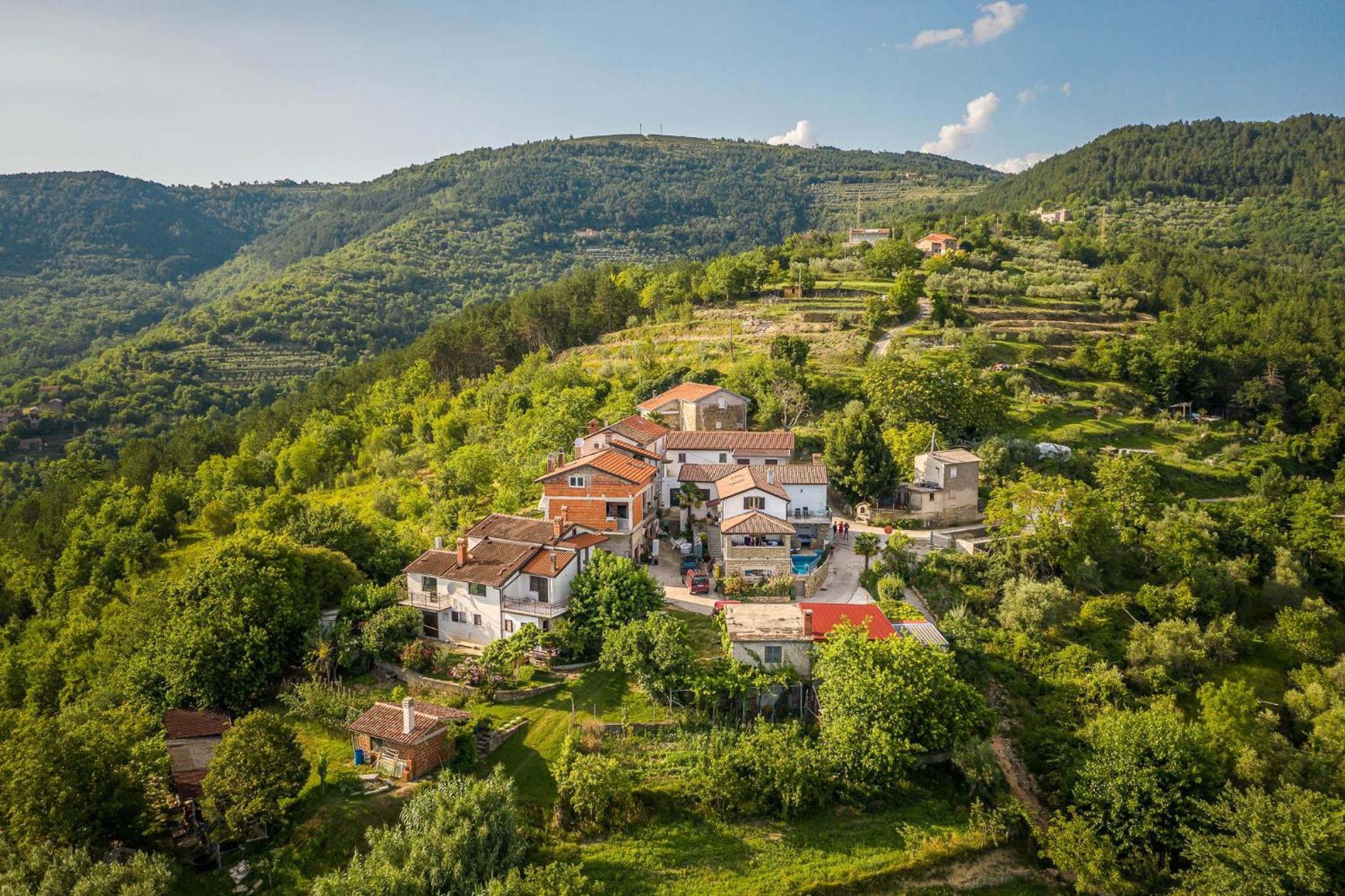 Holiday Home Belveder Motovun with heated pool view 3