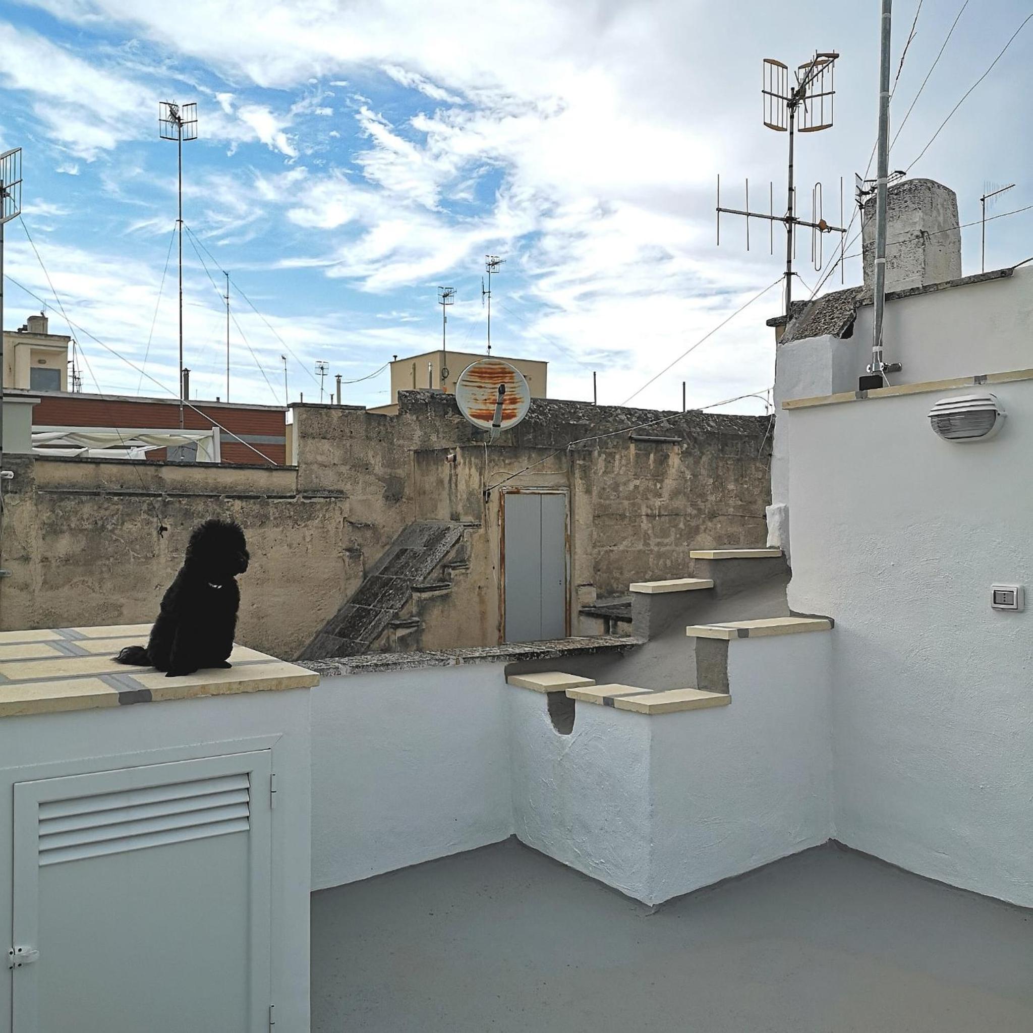 roof
