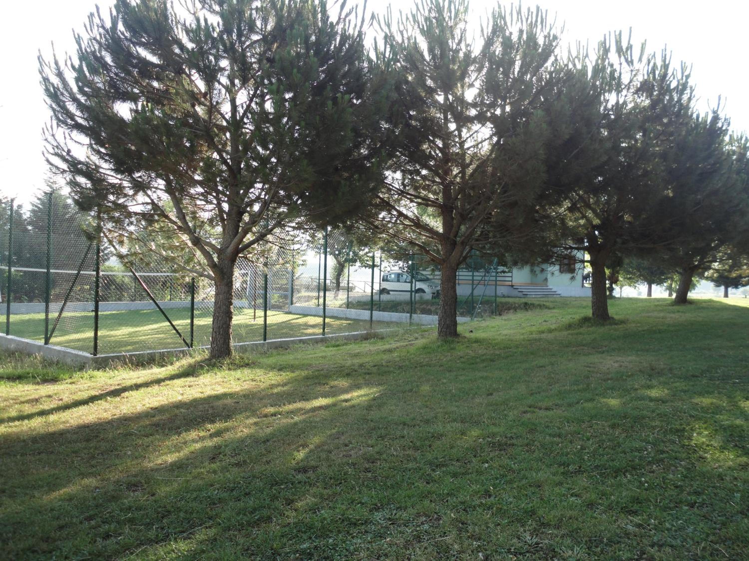Green House