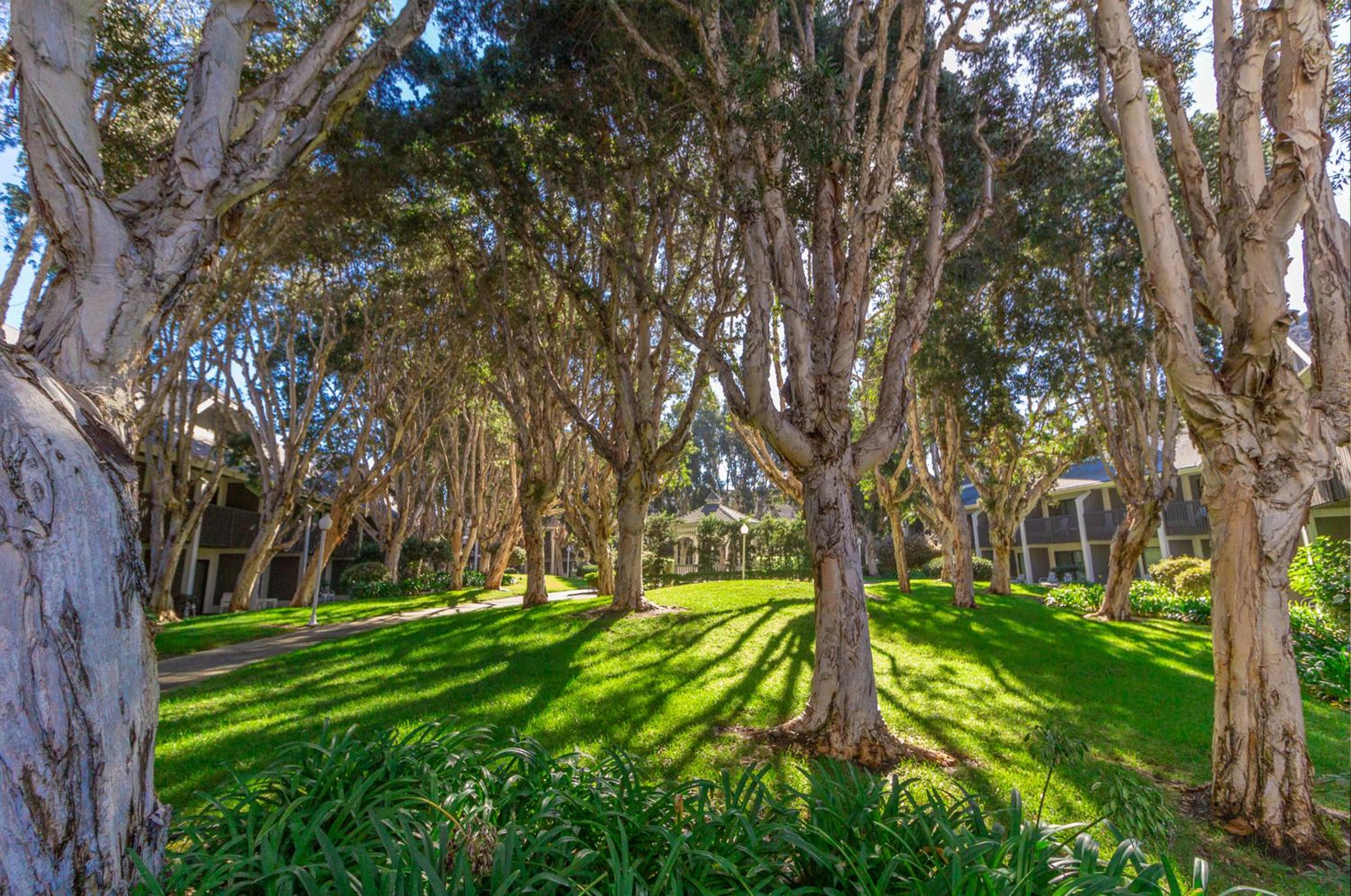 Carlsbad by the Sea Hotel, Carlsbad, Series By Marriott