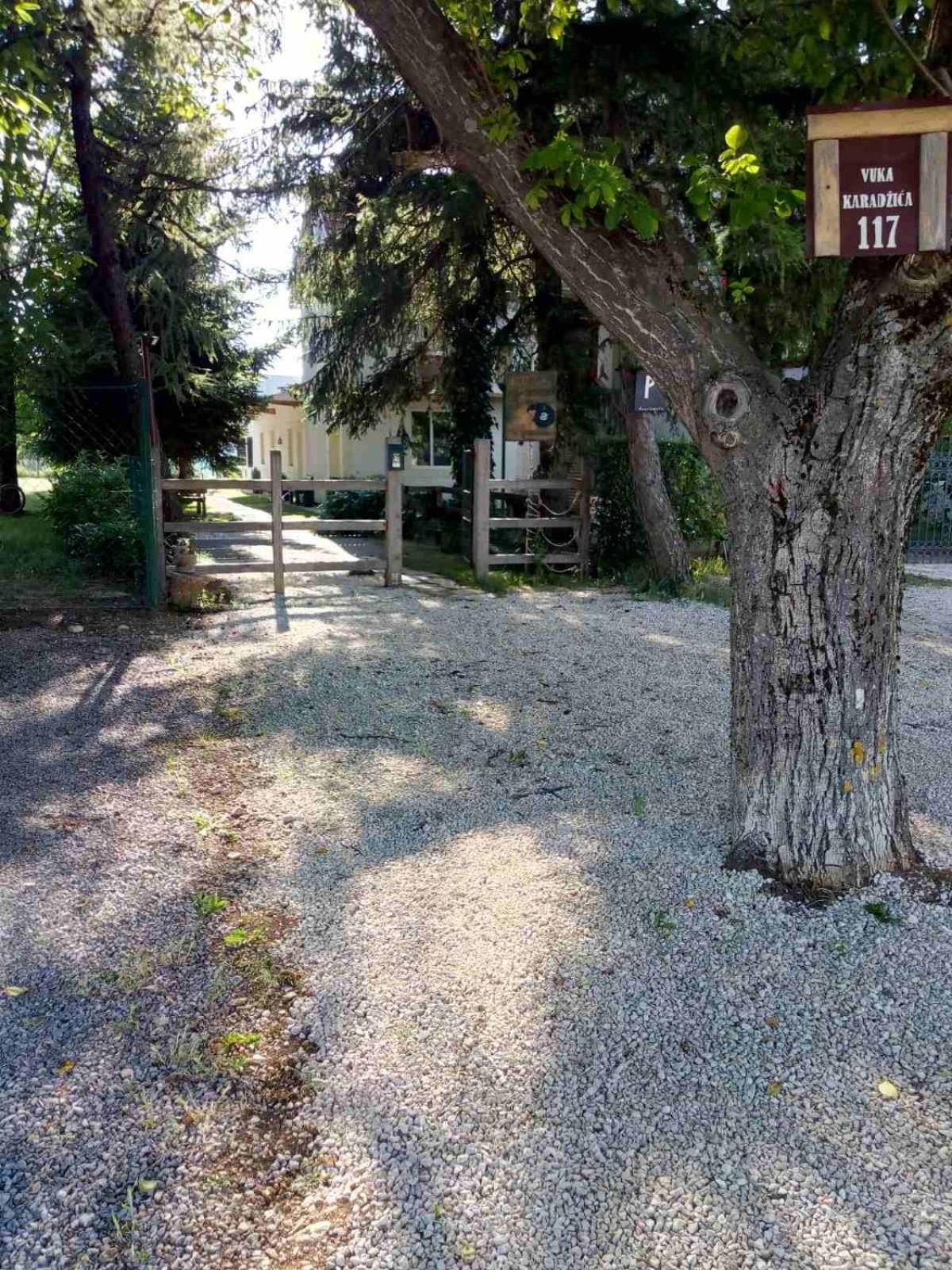 Photo 21