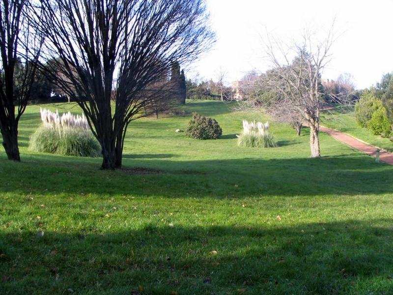 Photo 37